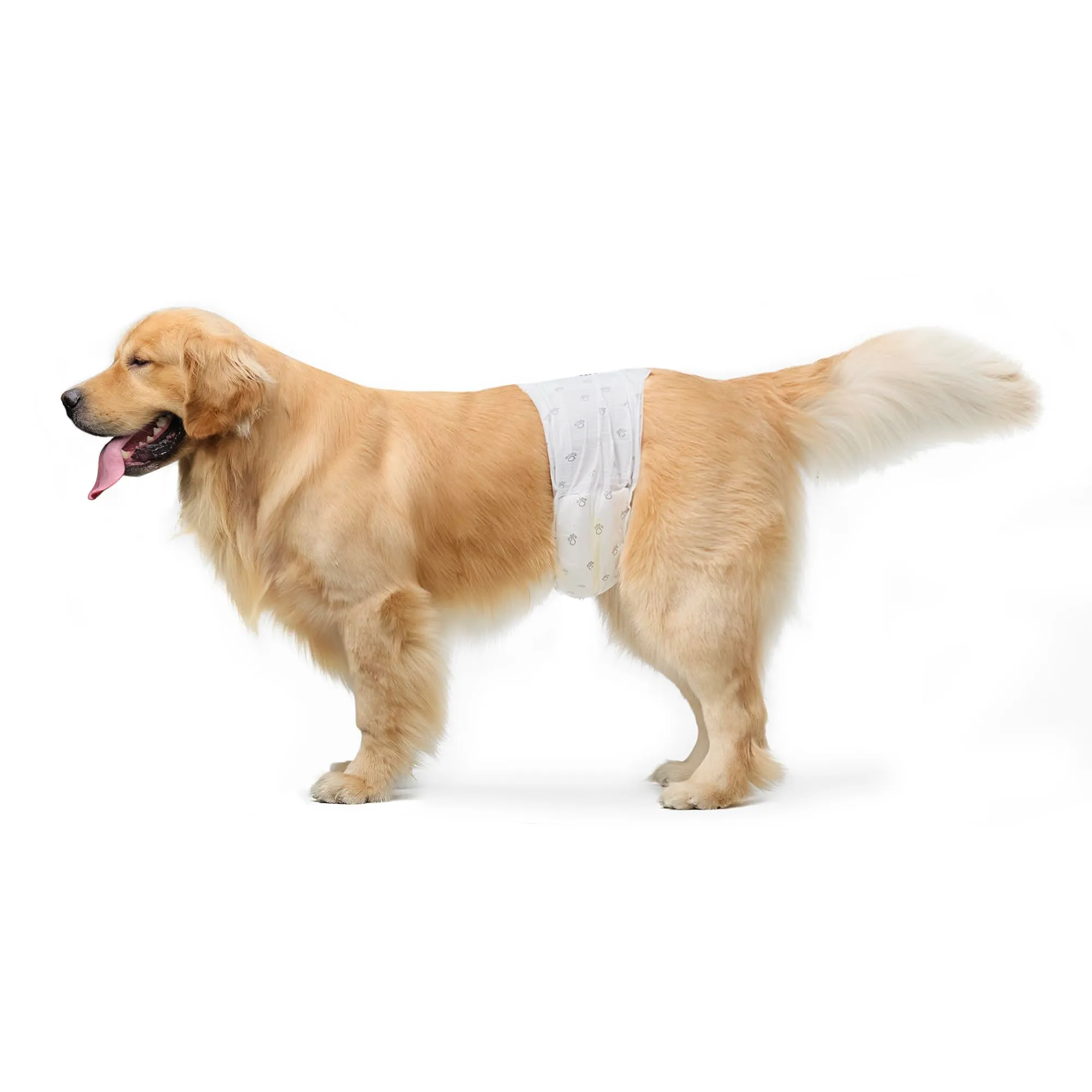 Amazon Basics Pannolini Monouso per Cani Maschi, Taglia L, Bianco, 50 pezzi - immagine 1