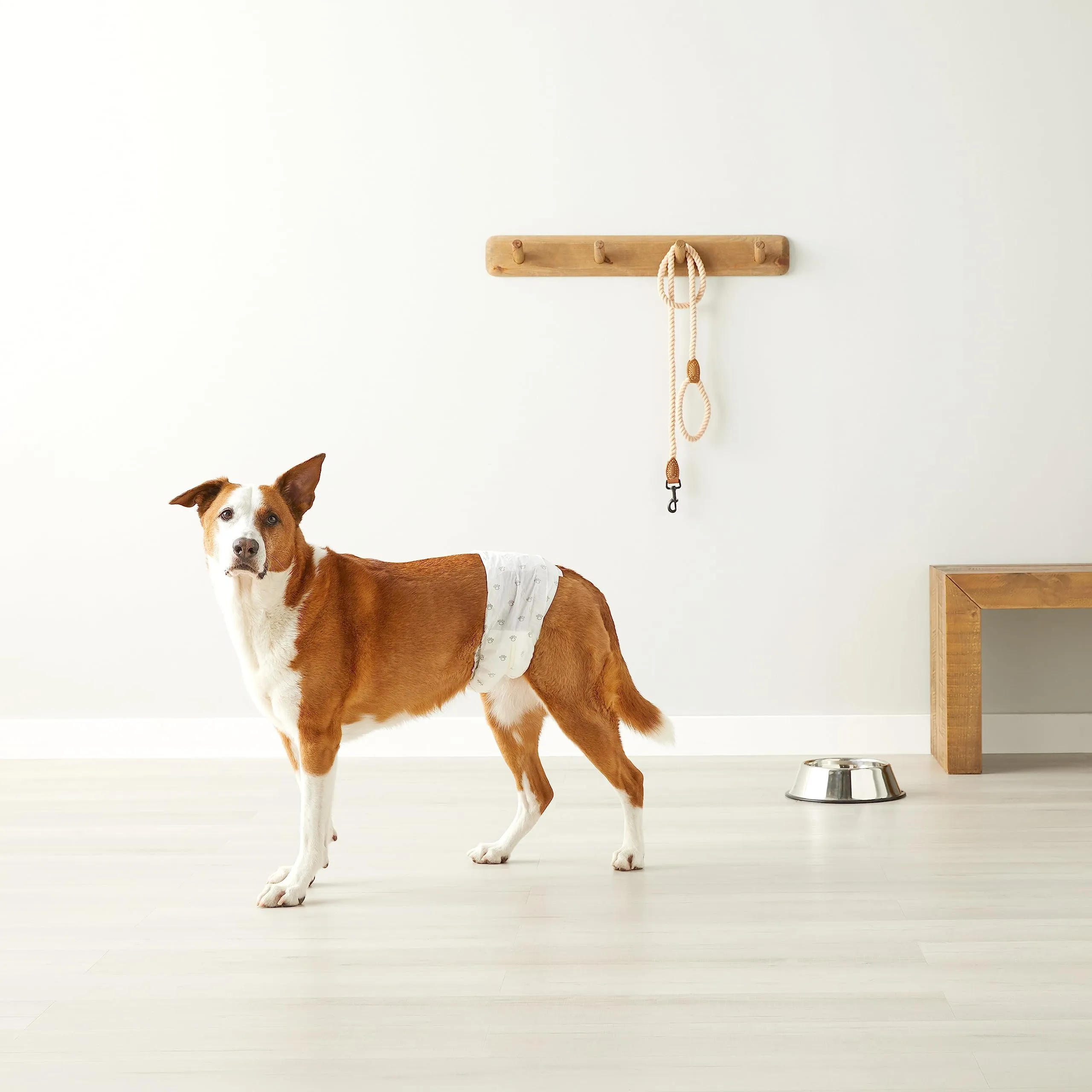 Amazon Basics Pannolini Monouso per Cani Maschi, Taglia L, Bianco, 50 pezzi - immagine 7