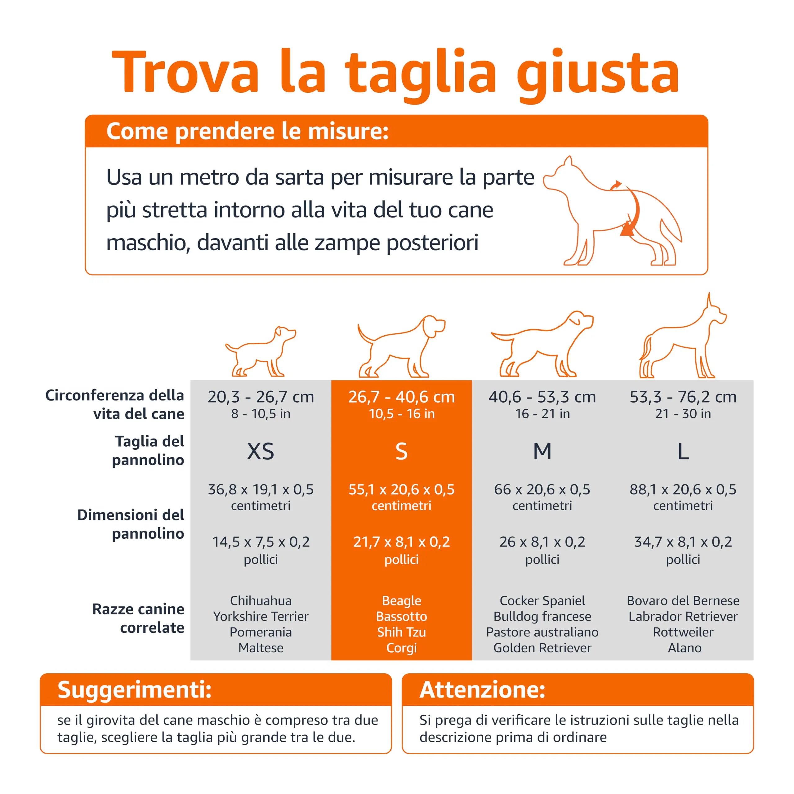 Amazon Basics Pannolini usa e getta per cani maschi, Piccolo, Bianco, confezione da 30 - immagine 4