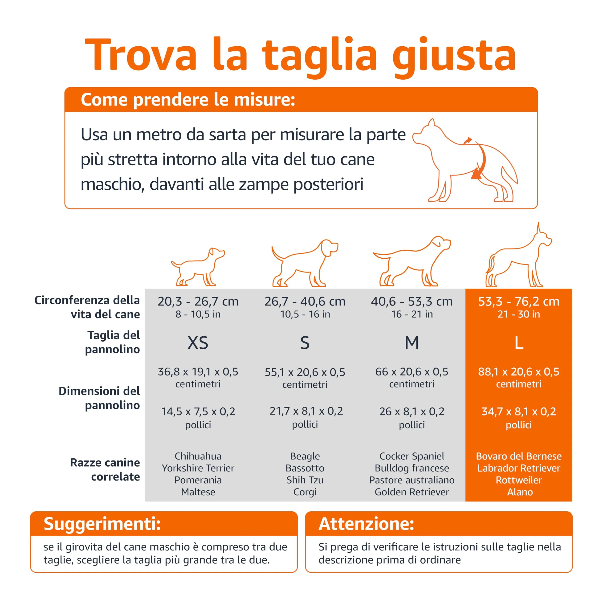 Amazon Basics Pannolini usa e getta per cani maschi, L, 30 pezzi, Bianco - immagine 4