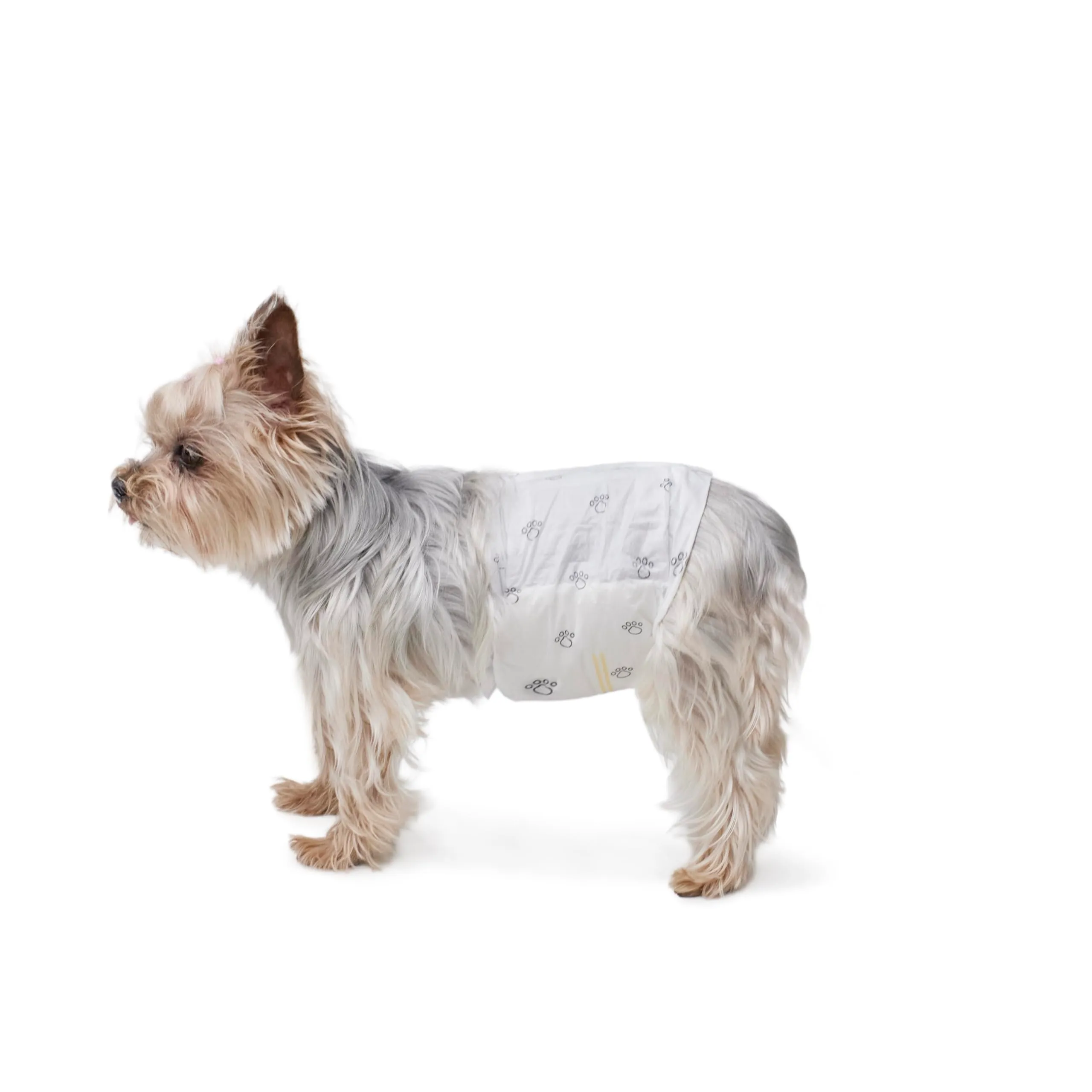 Amazon Basics Pannolini usa e getta per cani maschi, XS, 30 pezzi, Bianco - immagine 1