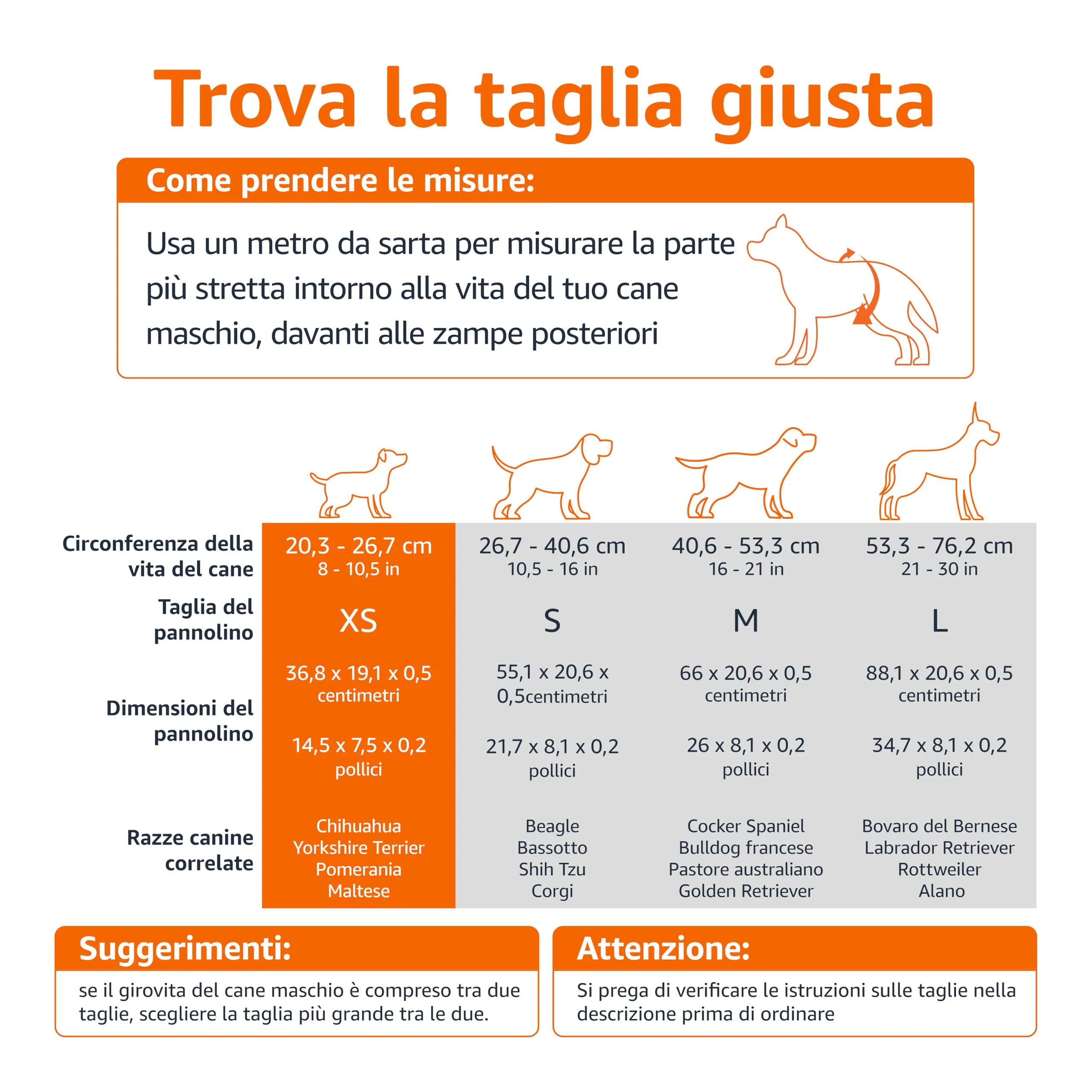 Amazon Basics Pannolini usa e getta per cani maschi, XS, 30 pezzi, Bianco - immagine 4
