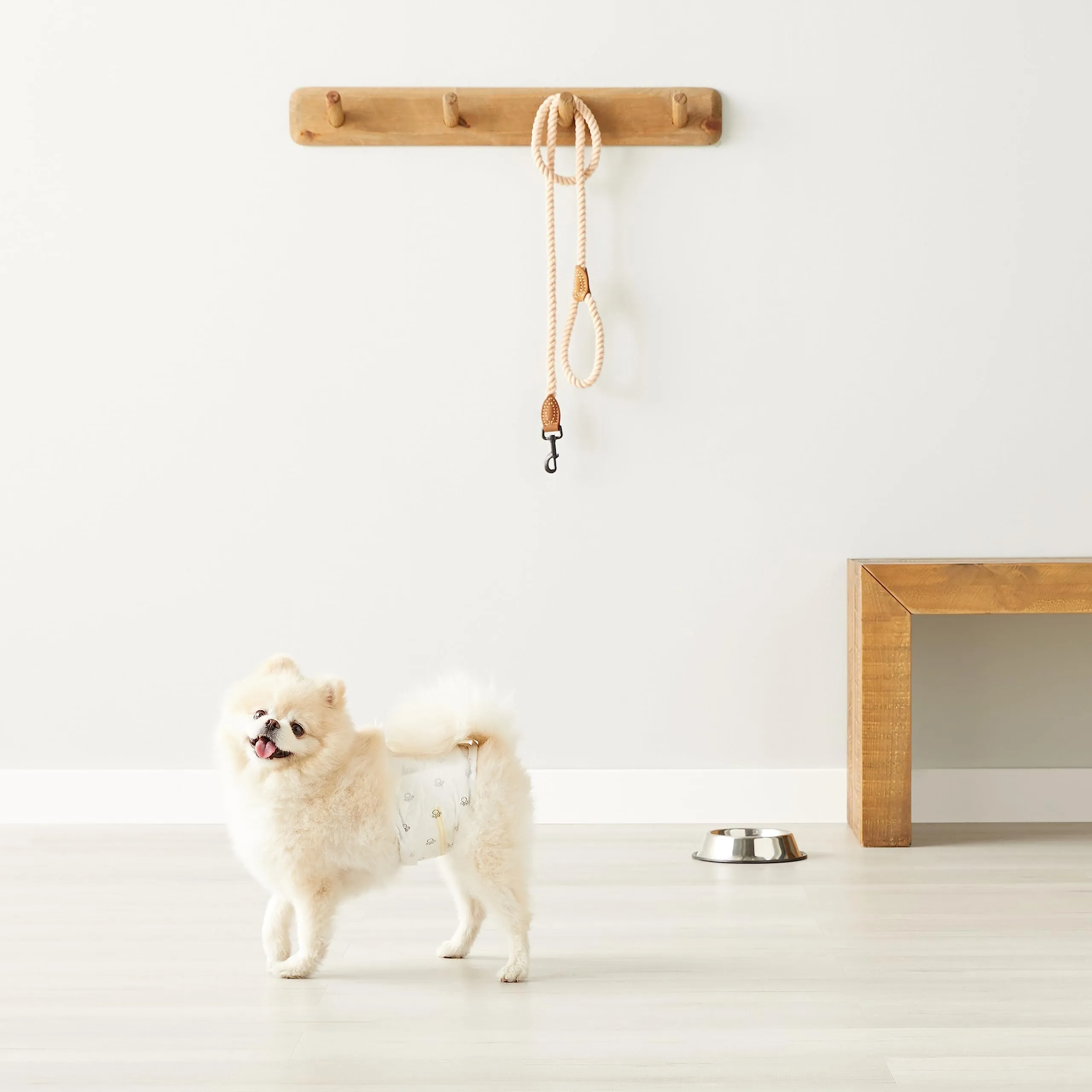 Amazon Basics Pannolini usa e getta per cani maschi, XS, 30 pezzi, Bianco - immagine 7
