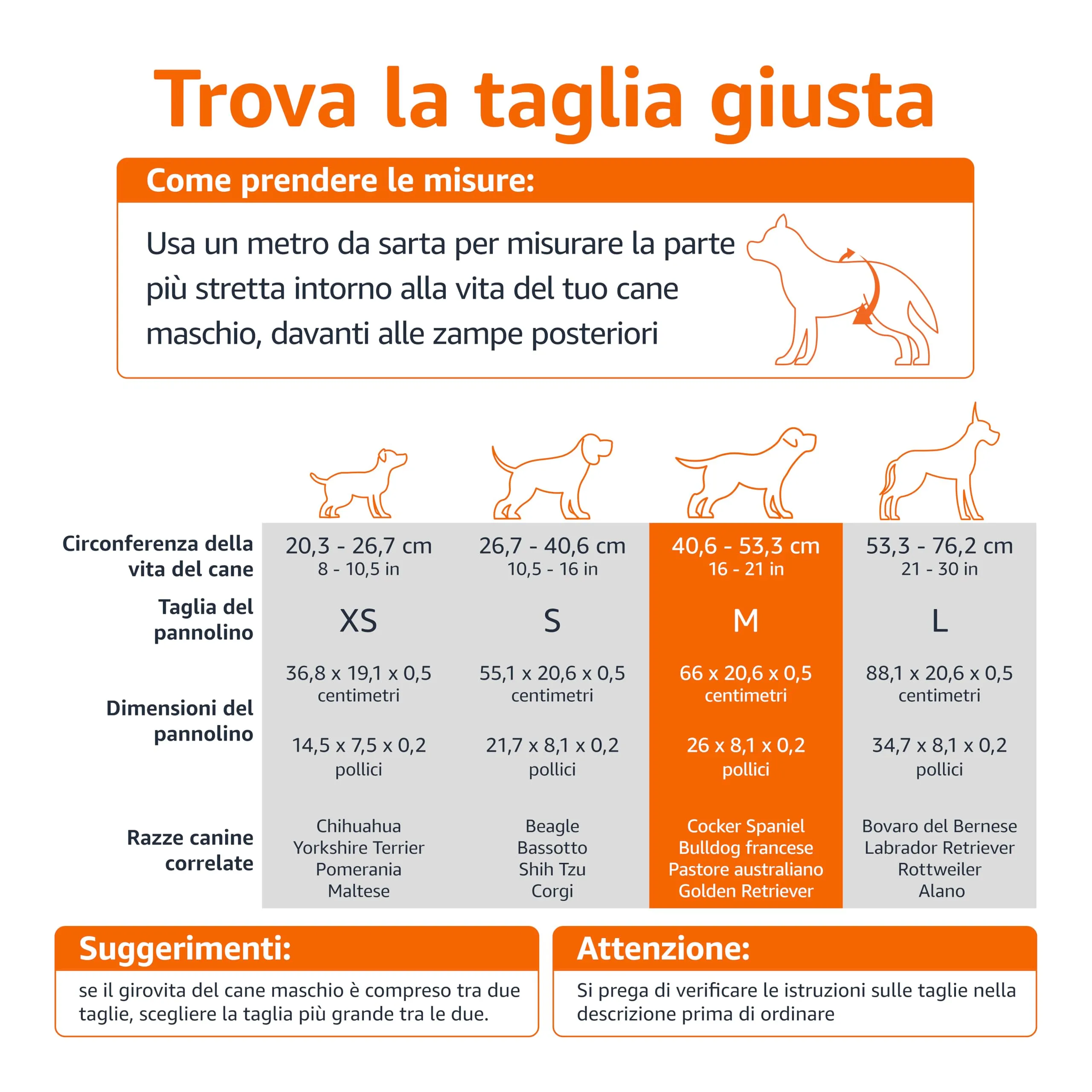 Amazon Basics Pannolini usa e getta per cani maschi, Medio, Bianco, 30 pezzi - immagine 4
