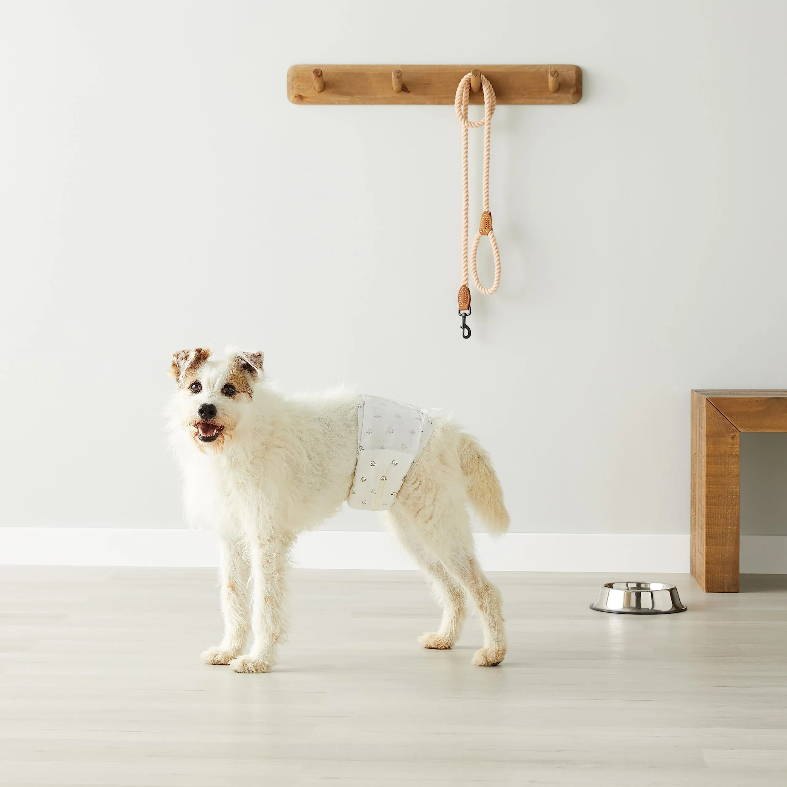 Amazon Basics Pannolini monouso per cani maschi, Taglia M, Bianco, 50 pezzi - immagine 7