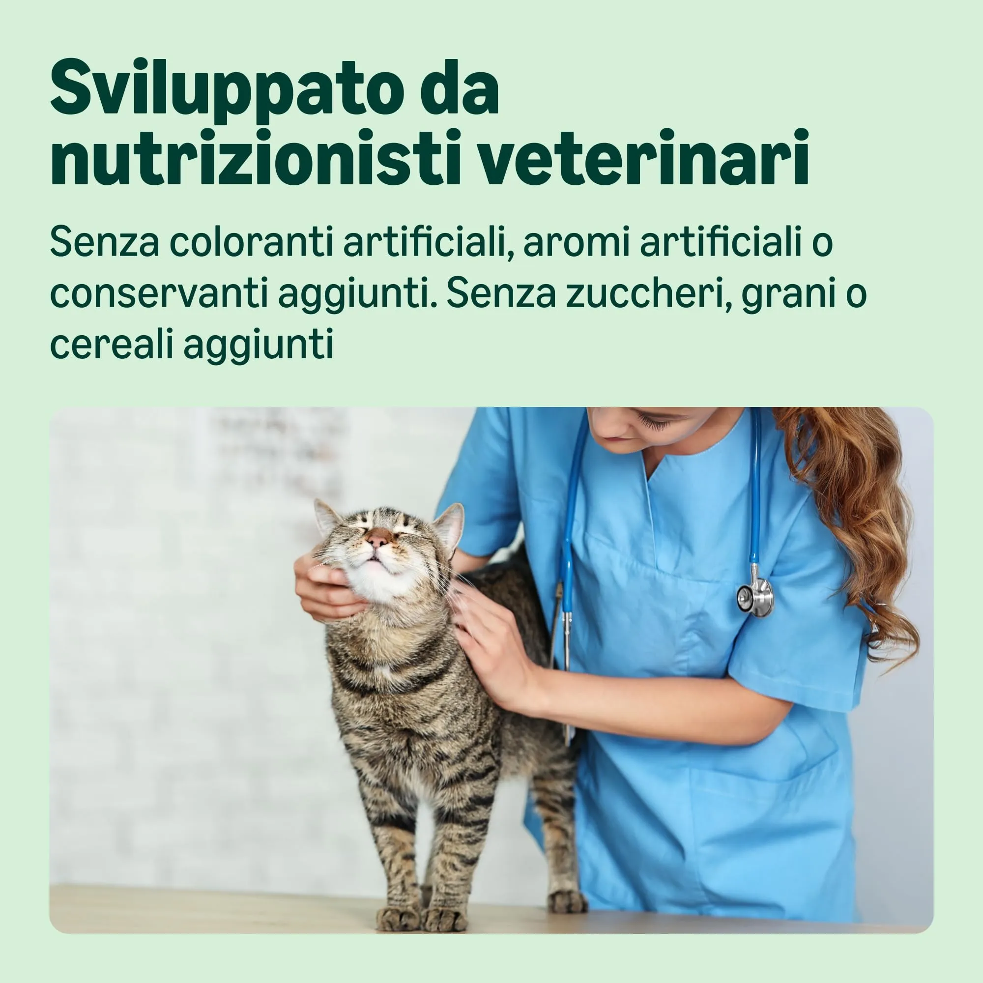 by Amazon Cibo Umido per Gatti Paté Assortiti 100g Confezione da 32 - immagine 4