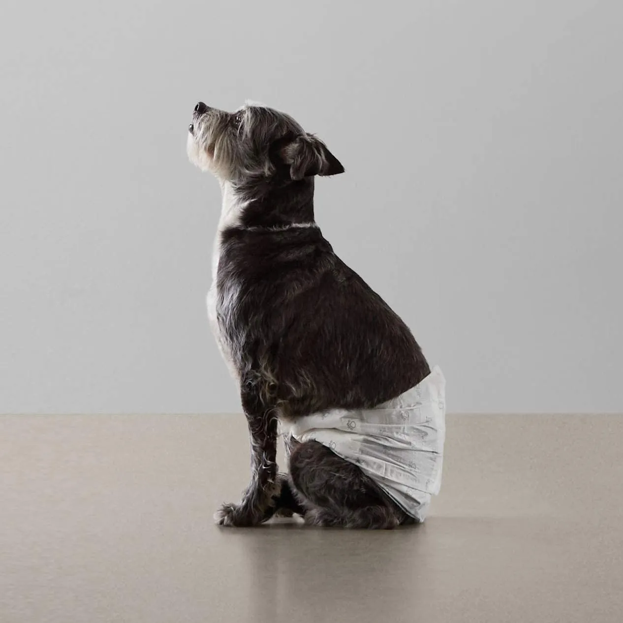Amazon Basics Pannolini Usa e Getta per Cani Maschi, Misura S, 50 Pezzi, Bianco - immagine 7