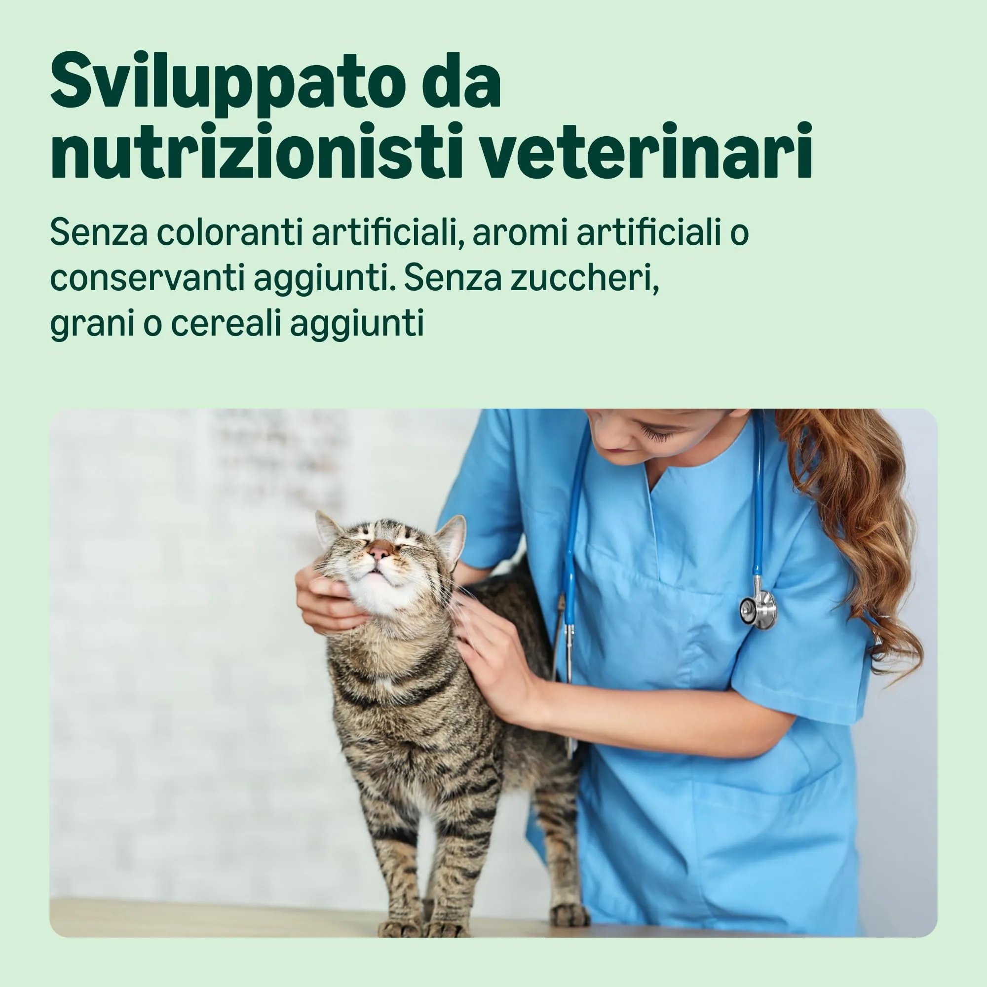 by Amazon Cibo Umido per Gatti Paté di Pollame, 100g, Confezione da 16 - immagine 4