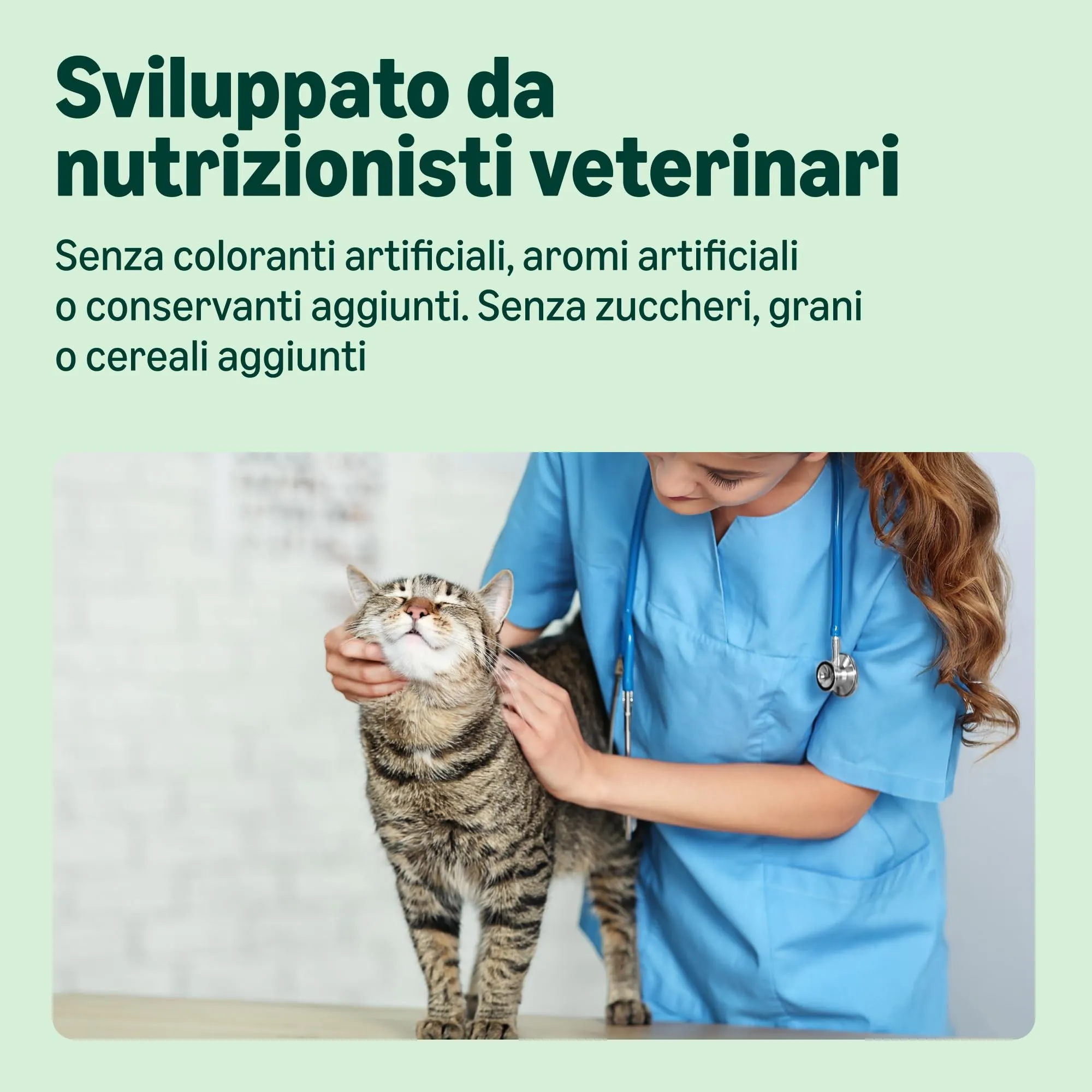 by Amazon Cibo Umido per Gatti, Paté di Selvaggina, 100g, Confezione da 16 - immagine 4