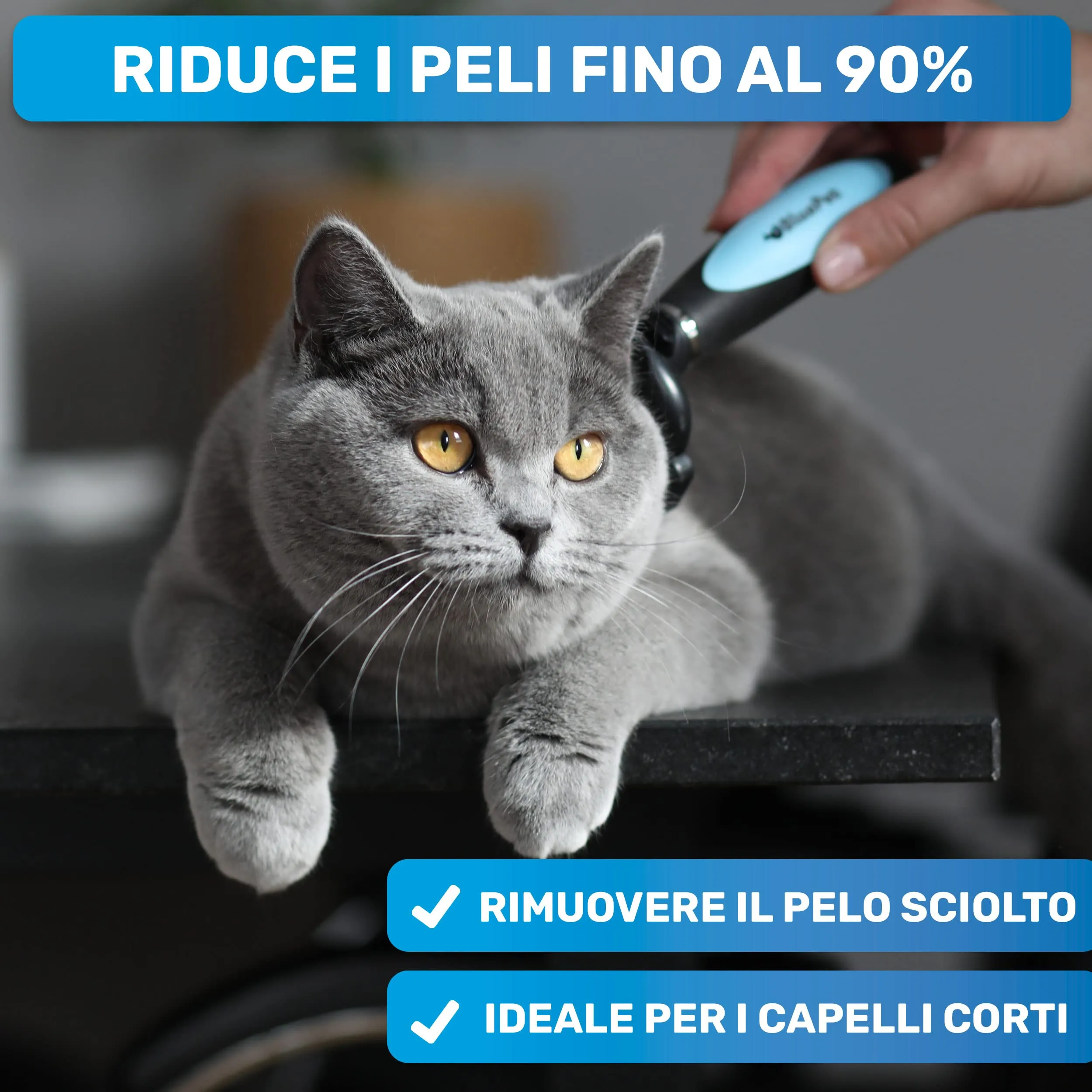 BluePet Spazzola per Cani e Gatti Pelo Corto, Pettine del Sottopelo Autopulente - immagine 2