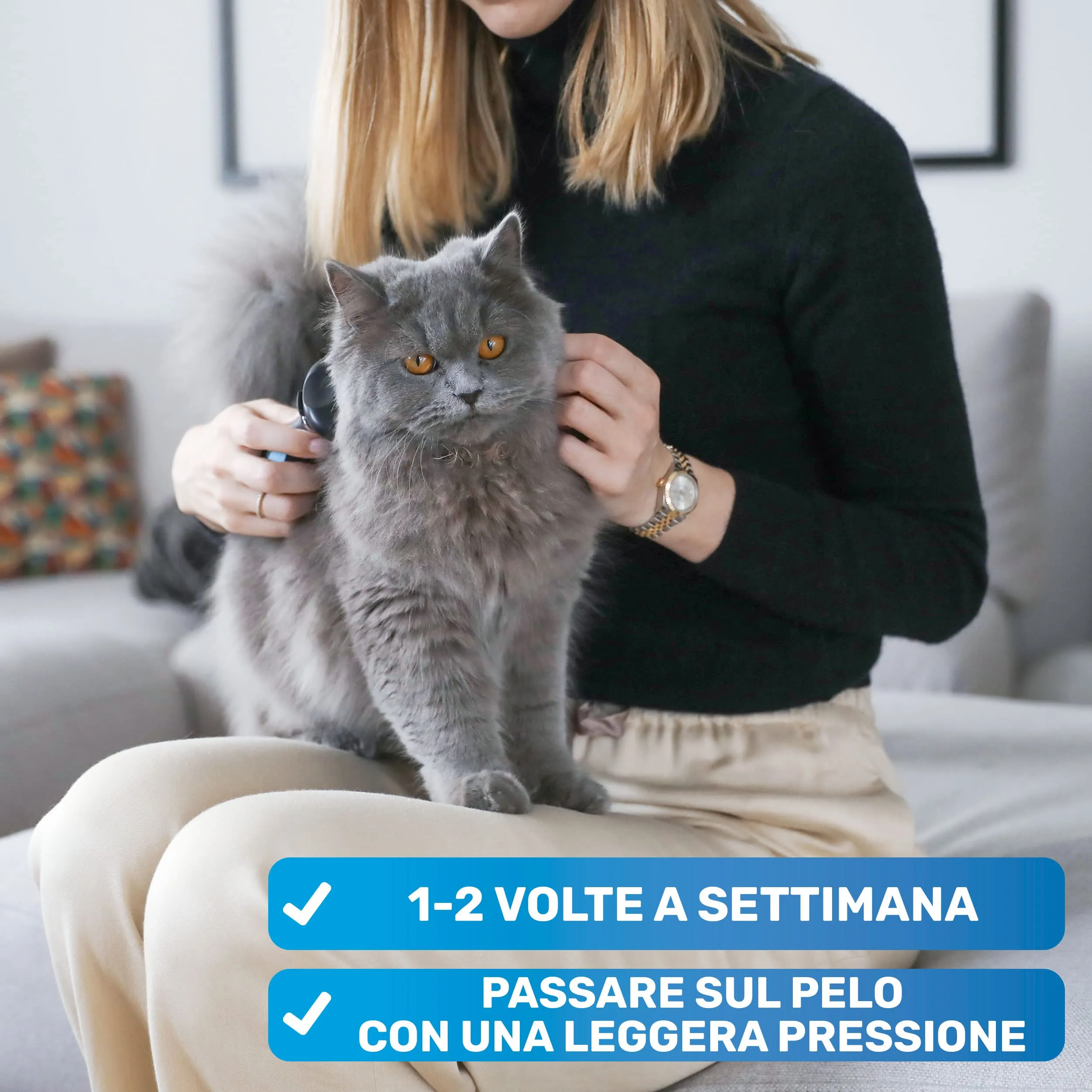 BluePet Spazzola per Cani e Gatti Pelo Corto, Pettine del Sottopelo Autopulente - immagine 3