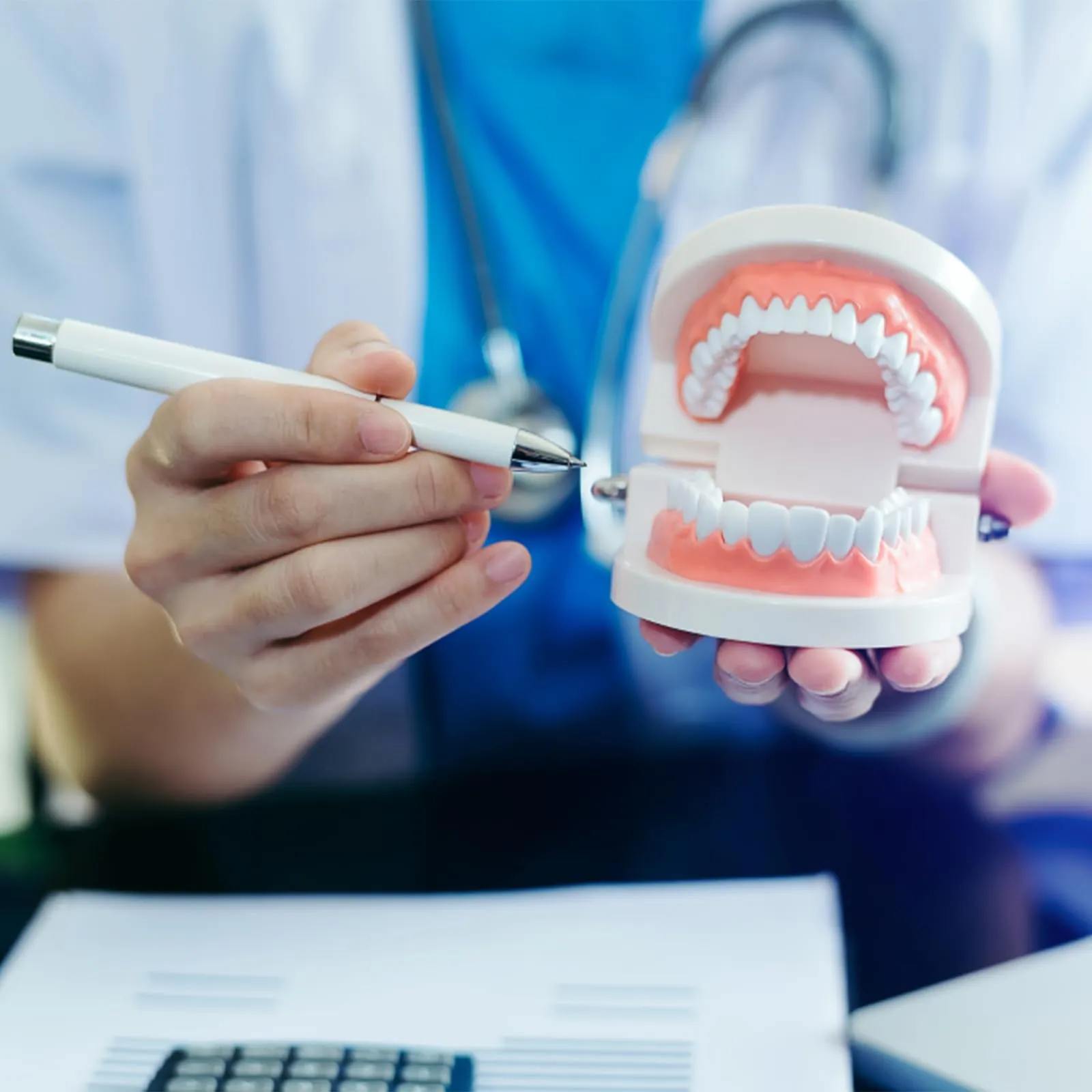 Bavooty Modello di Insegnamento Dentale Anatomico con Apertura a 180 Gradi - immagine 5