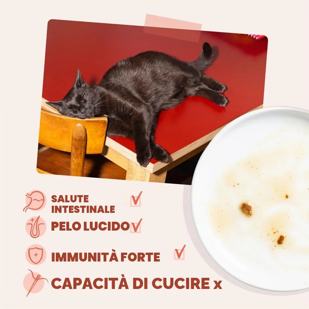 Edgard & Cooper Cibo Umido per Gatti, Trota e Pollo in salsa, Senza Cereali, per Gatti Sterilizzati (12x 85g) - immagine 4