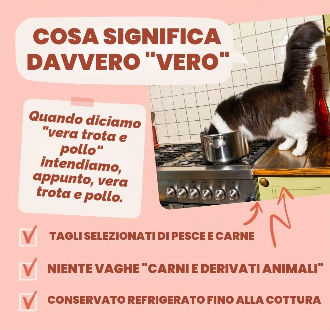 Edgard & Cooper Cibo Umido per Gatti, Trota e Pollo in salsa, Senza Cereali, per Gatti Sterilizzati (12x 85g) - immagine 5