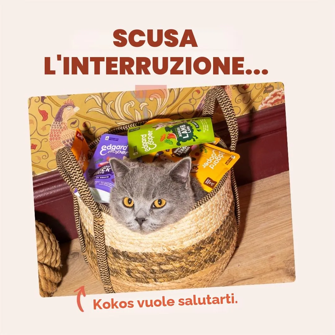 Edgard & Cooper Cibo Umido per Gatti, Trota e Pollo in salsa, Senza Cereali, per Gatti Sterilizzati (12x 85g) - immagine 8