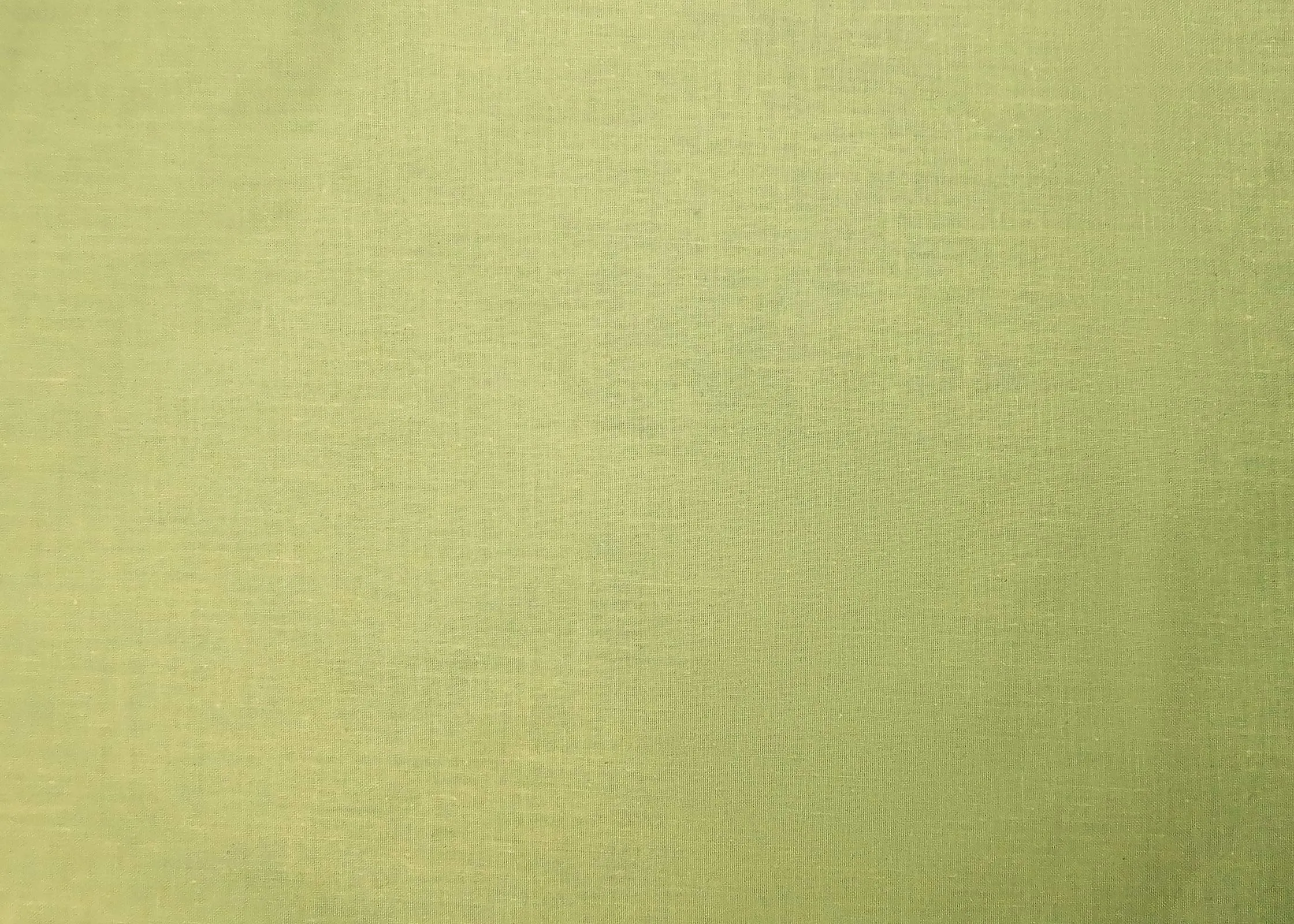 FARFALLAROSSA Coppia di Federe in Puro Cotone, Chiusura a Busta, Tinta Unita, 50x80 cm - immagine 7