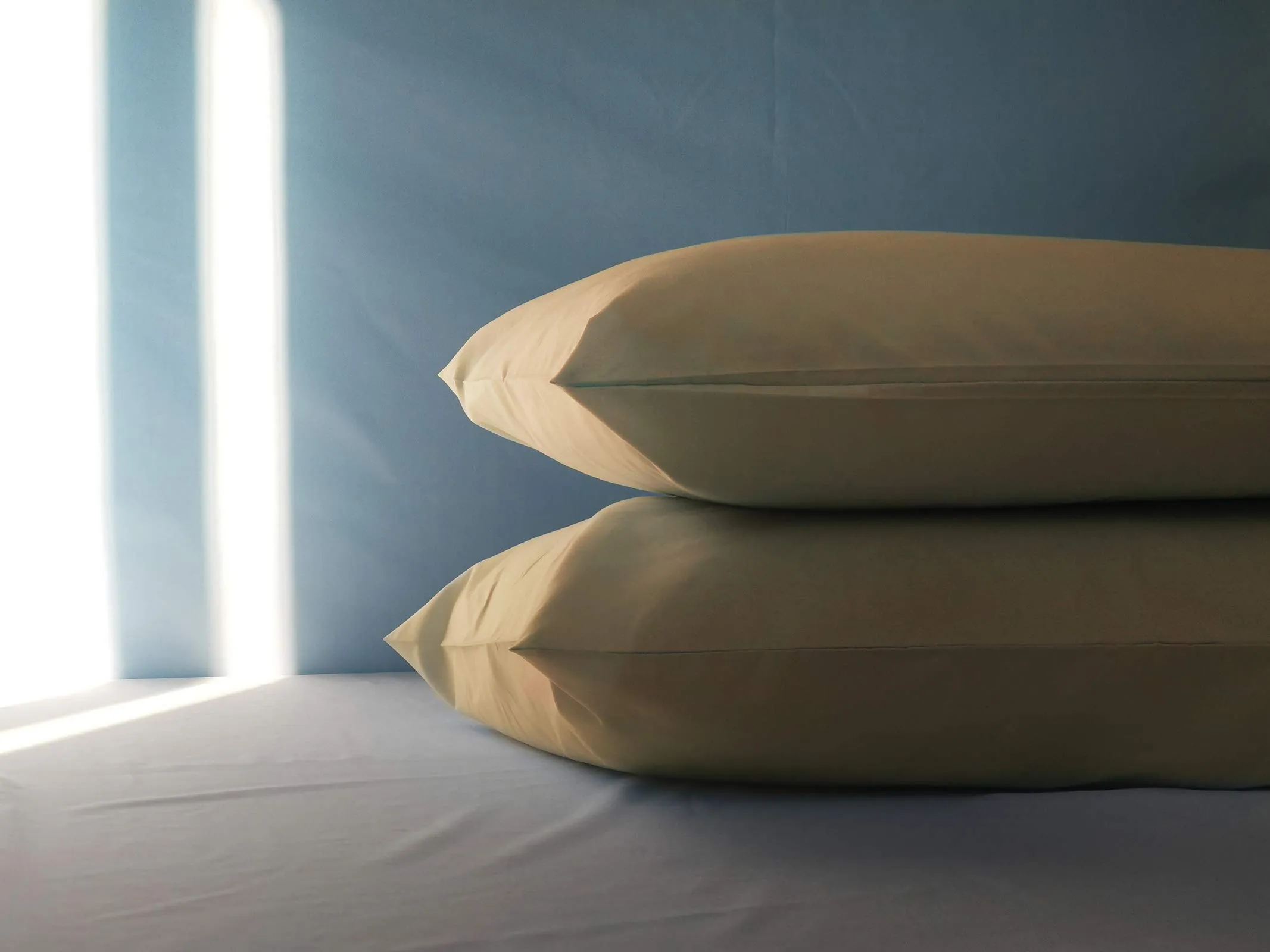 FARFALLAROSSA Set di 2 Federe in 100% Cotone, Chiusura a Busta, 50x80 cm - immagine 3