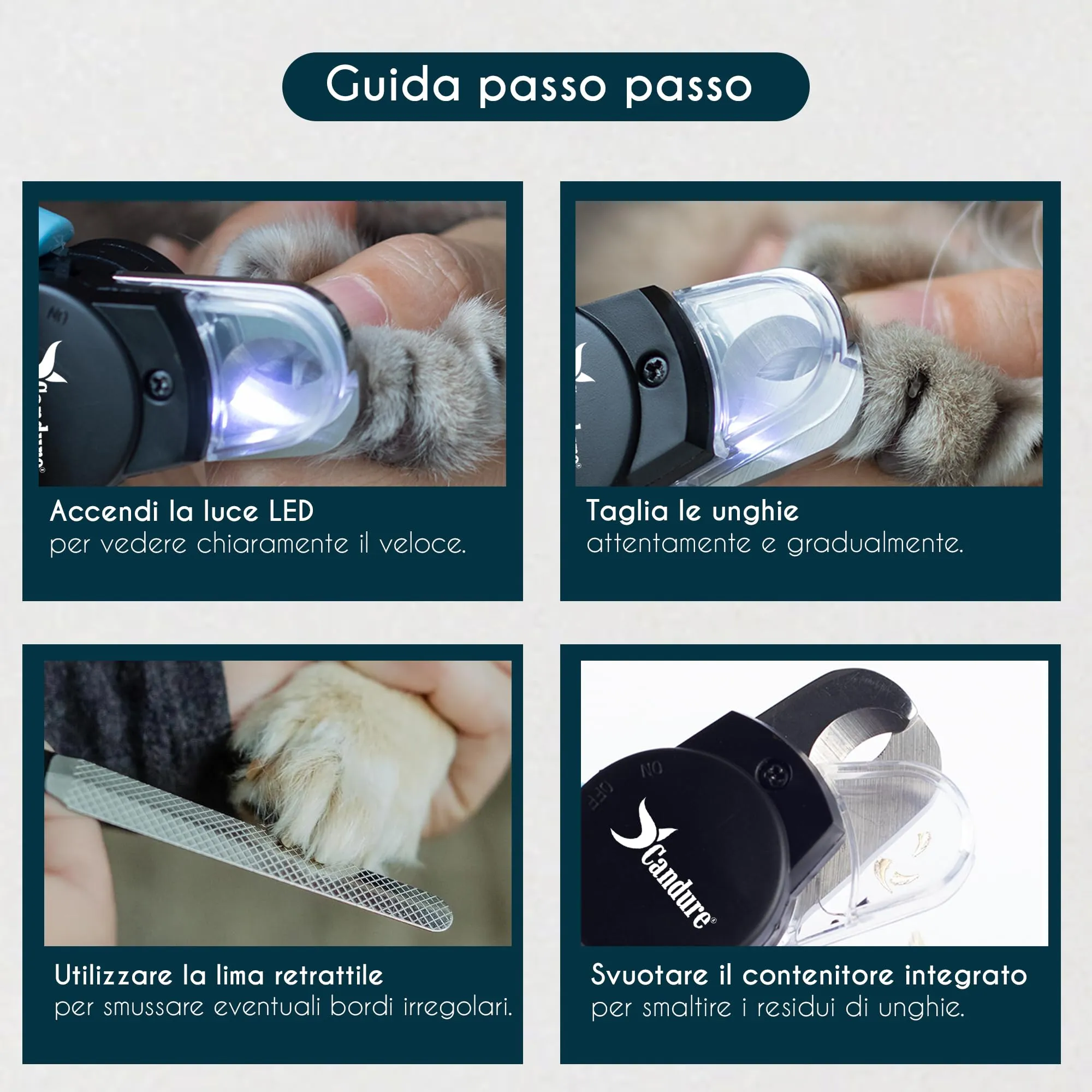 Candure Tagliaunghie per Cani con Luce LED e Sensore di Sicurezza - immagine 3