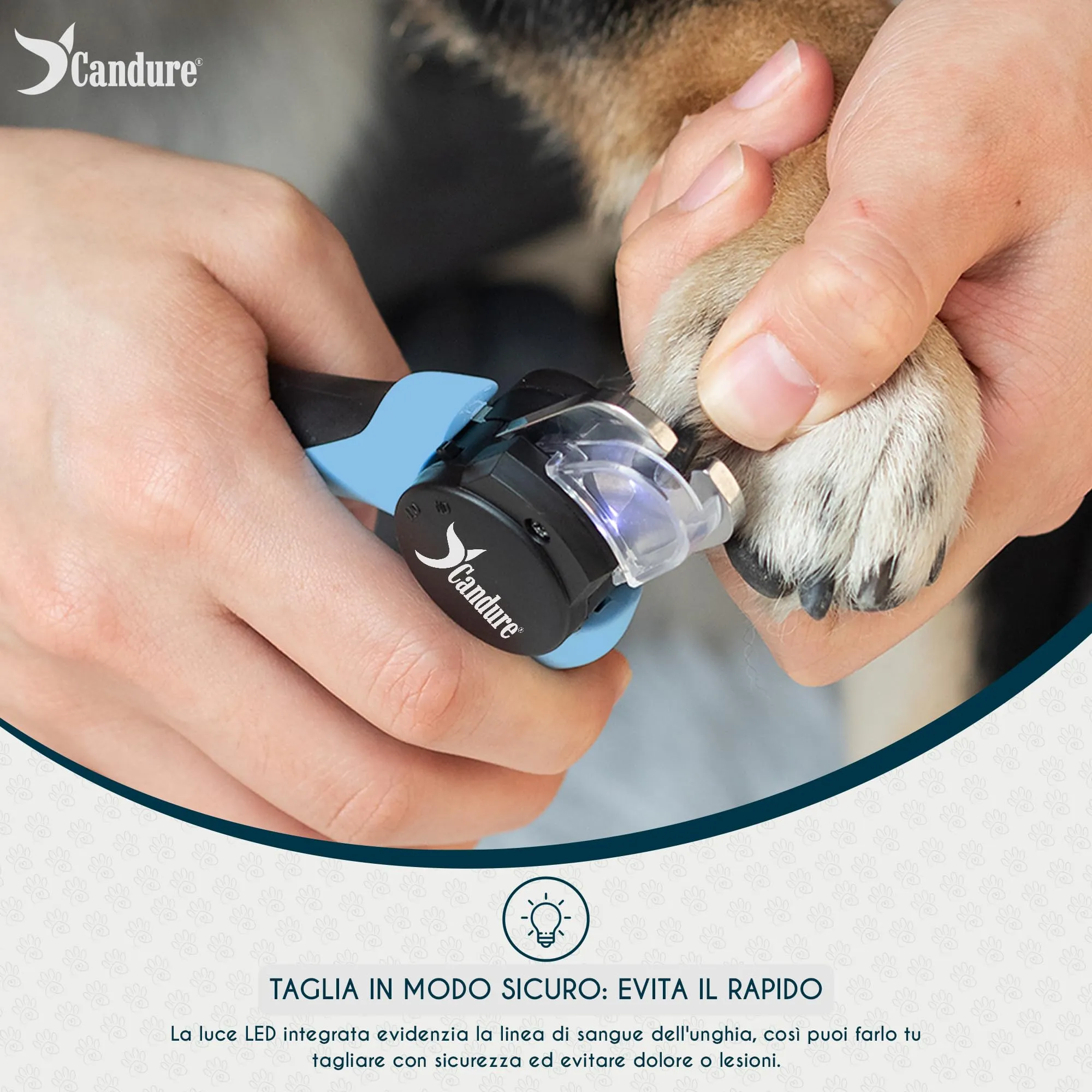 Candure Tagliaunghie per Cani con Luce LED e Sensore di Sicurezza - immagine 5