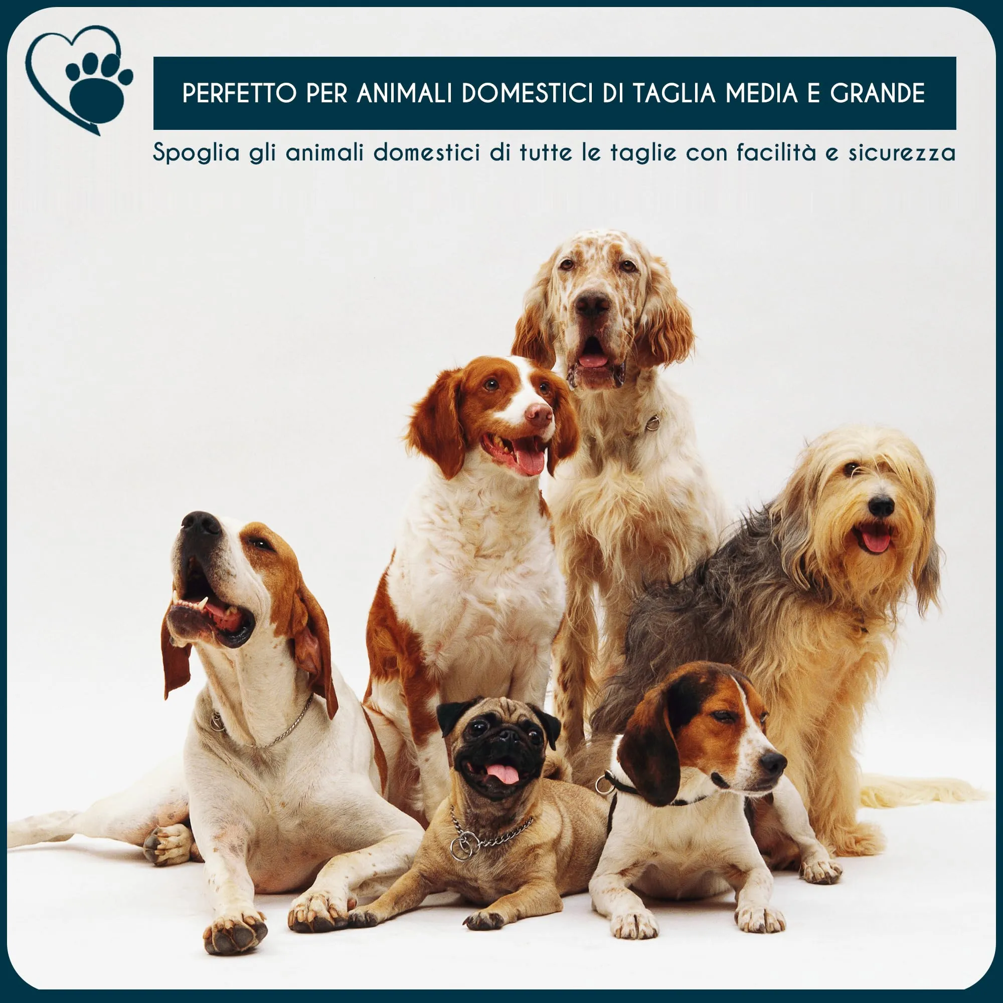 Candure Tagliaunghie per Cani con Luce LED e Sensore di Sicurezza - immagine 7