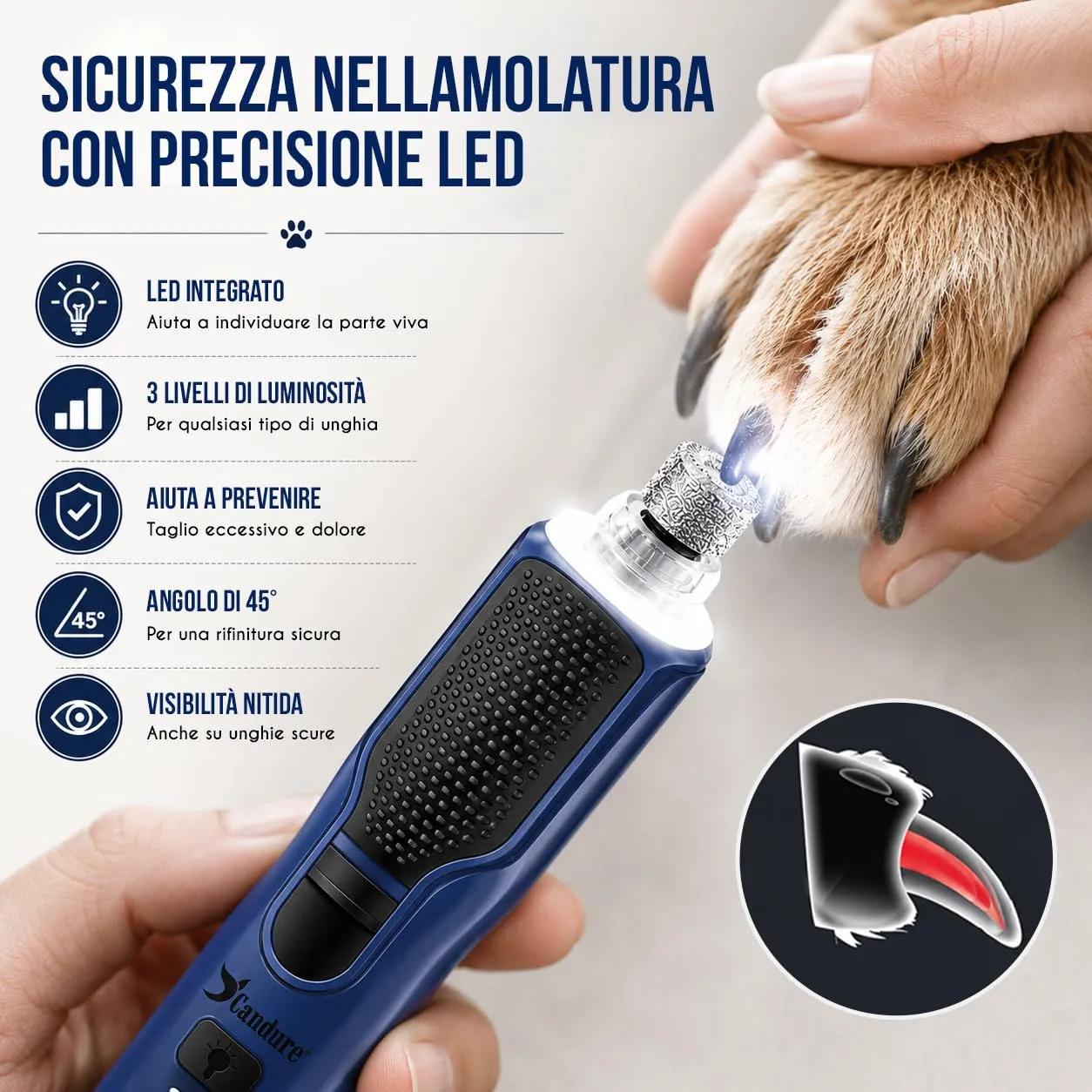 Candure Tagliaunghie per Cane e Gatto in Acciaio Inossidabile con Guardia di Protezione, Blu Navy - immagine 5