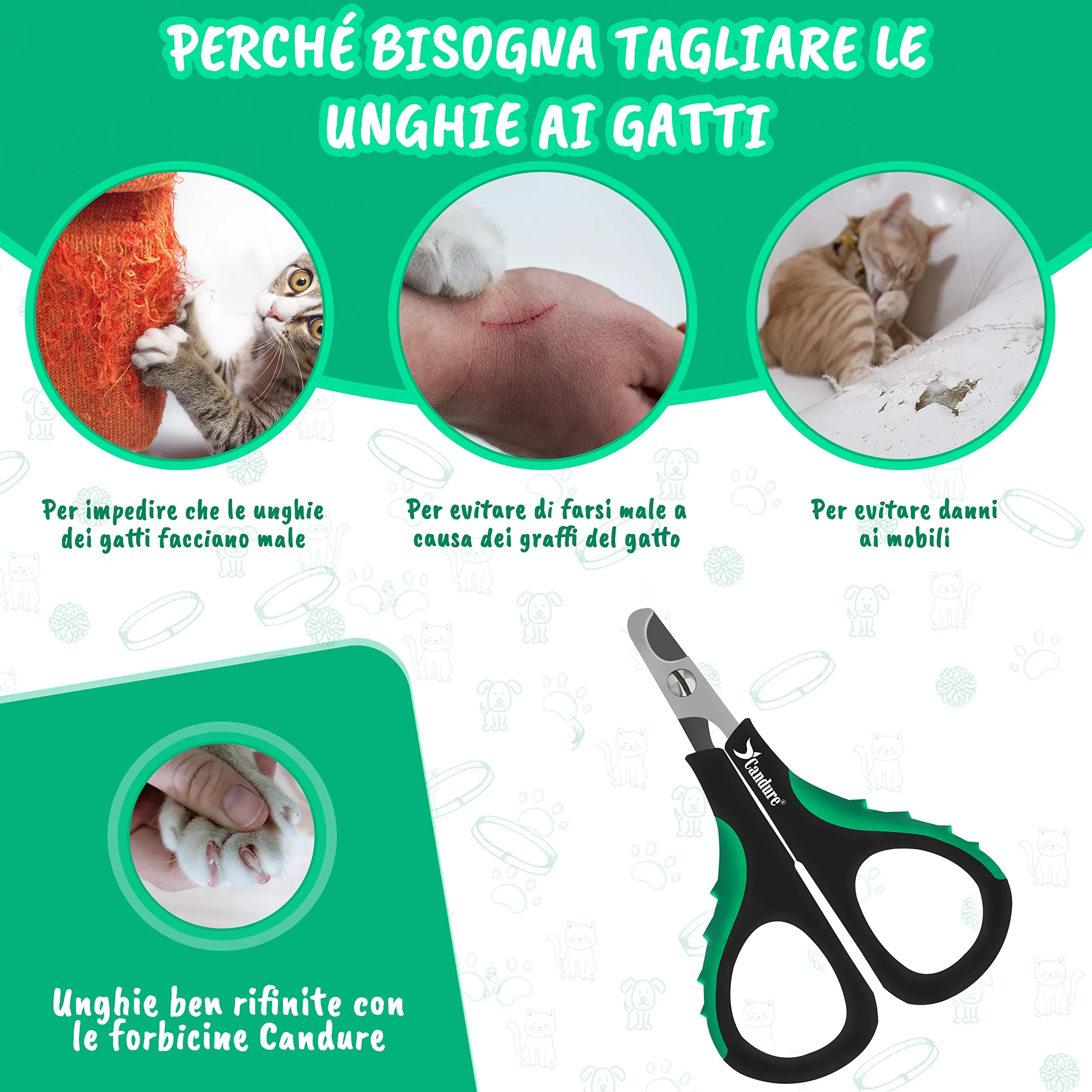 CANDURE Tagliaunghie per Cane e Gatto in Acciaio Inossidabile con Guardia di Protezione, Verde Chiaro, S Piccolo - immagine 2