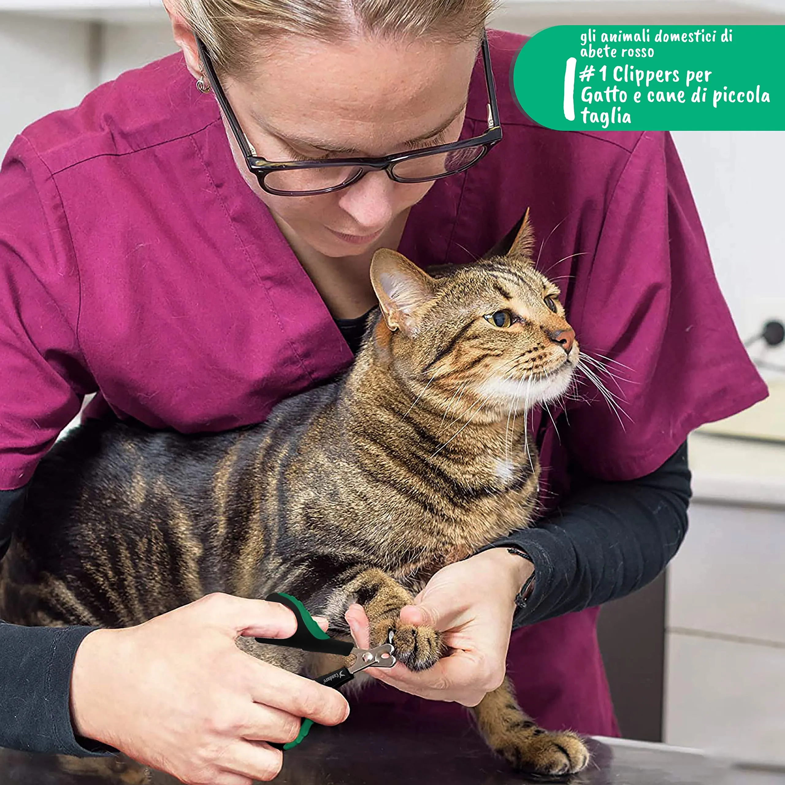 CANDURE Tagliaunghie per Cane e Gatto in Acciaio Inossidabile con Guardia di Protezione, Verde Chiaro, S Piccolo - immagine 4