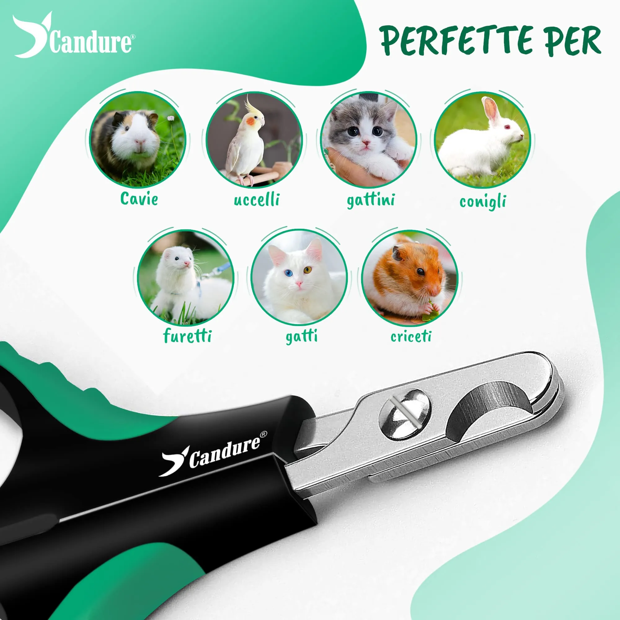 CANDURE Tagliaunghie per Cane e Gatto in Acciaio Inossidabile con Guardia di Protezione, Verde Chiaro, S Piccolo - immagine 6
