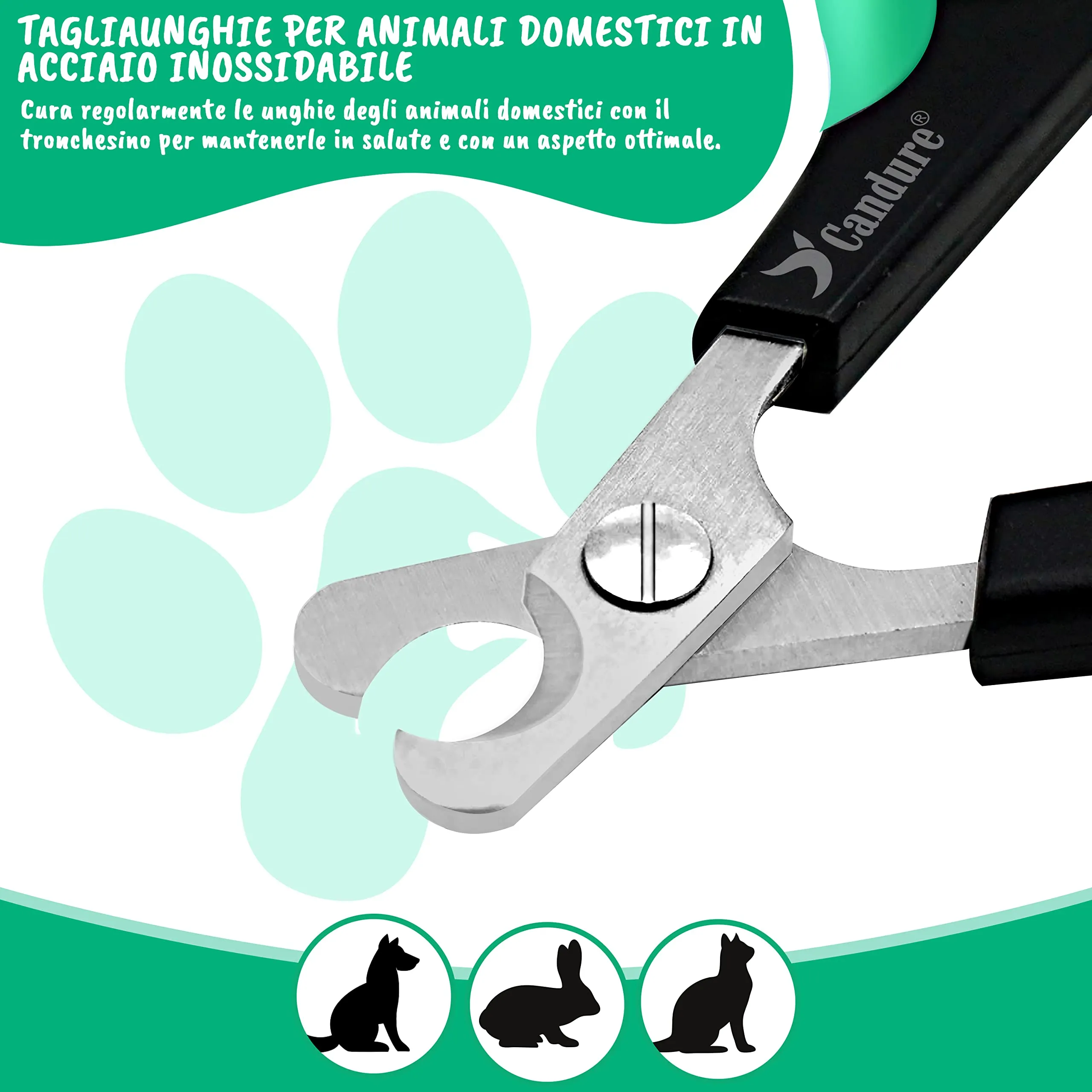 CANDURE Tagliaunghie per Cane e Gatto in Acciaio Inossidabile con Guardia di Protezione, Verde Chiaro, S Piccolo - immagine 7