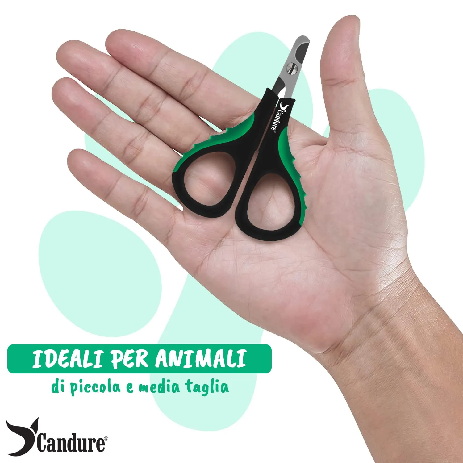 CANDURE Tagliaunghie per Cane e Gatto in Acciaio Inossidabile con Guardia di Protezione, Verde Chiaro, S Piccolo - immagine 8