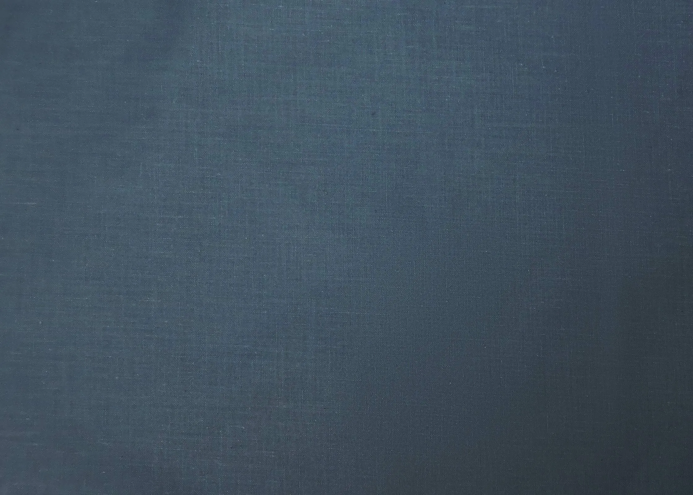 FARFALLAROSSA Coppia di Federe 100% Cotone, Chiusura a Busta, 50x80 cm, Blu Navy - immagine 7