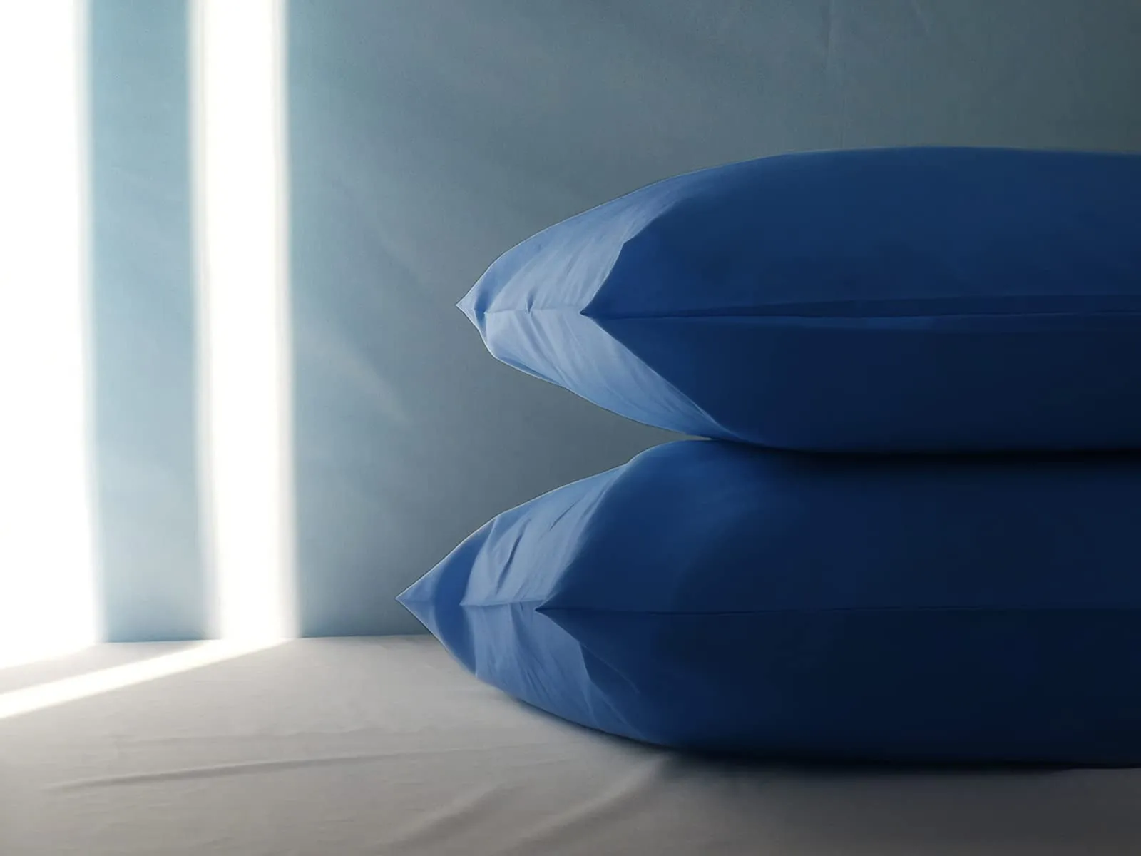 FARFALLAROSSA Coppia di Federe in Cotone 40x70 cm, Chiusura a Busta, Blu Reale - immagine 3