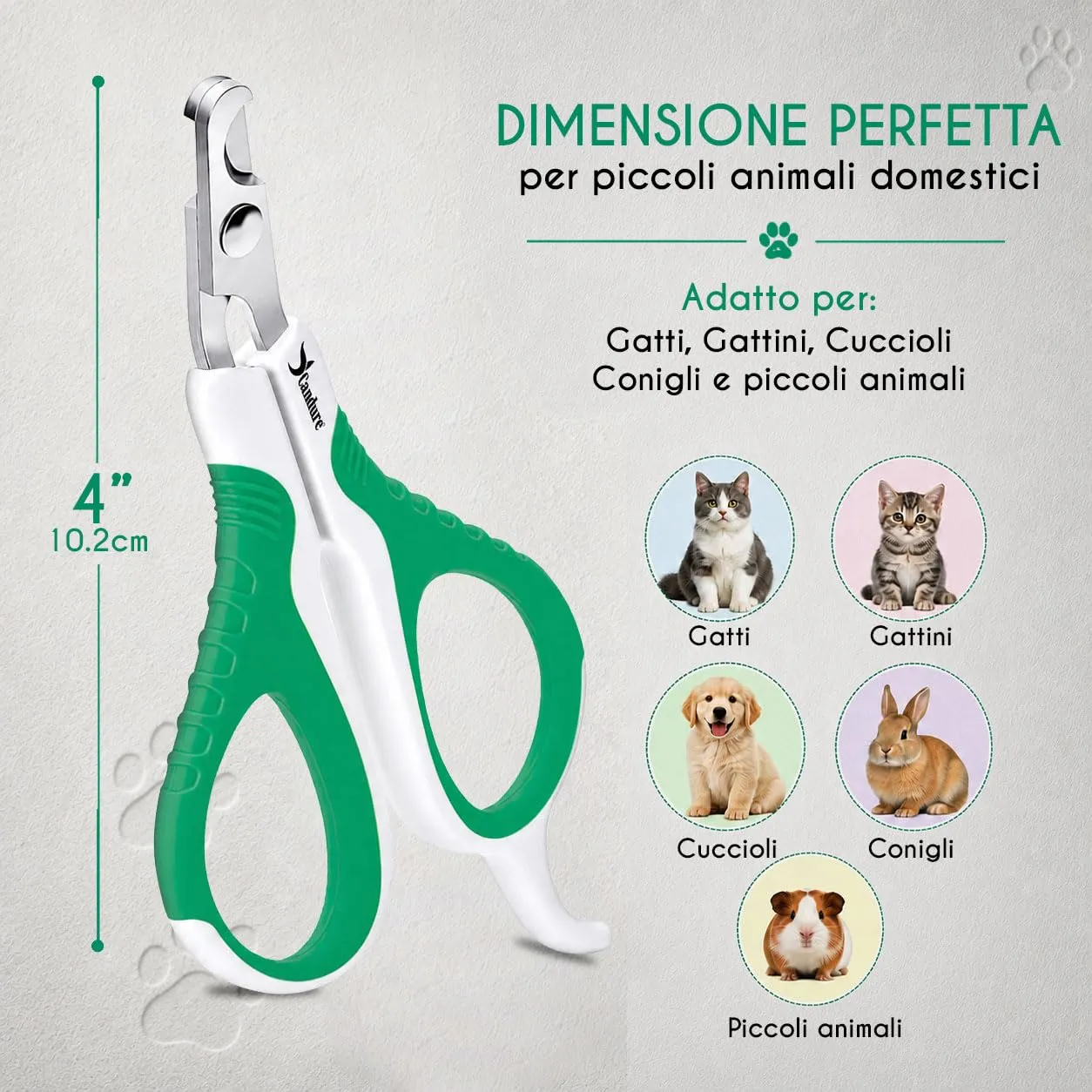 Candure Tagliaunghie per Cane e Gatto in Acciaio Inossidabile con Guardia di Protezione, Bianco e Verde, S Piccolo - immagine 4
