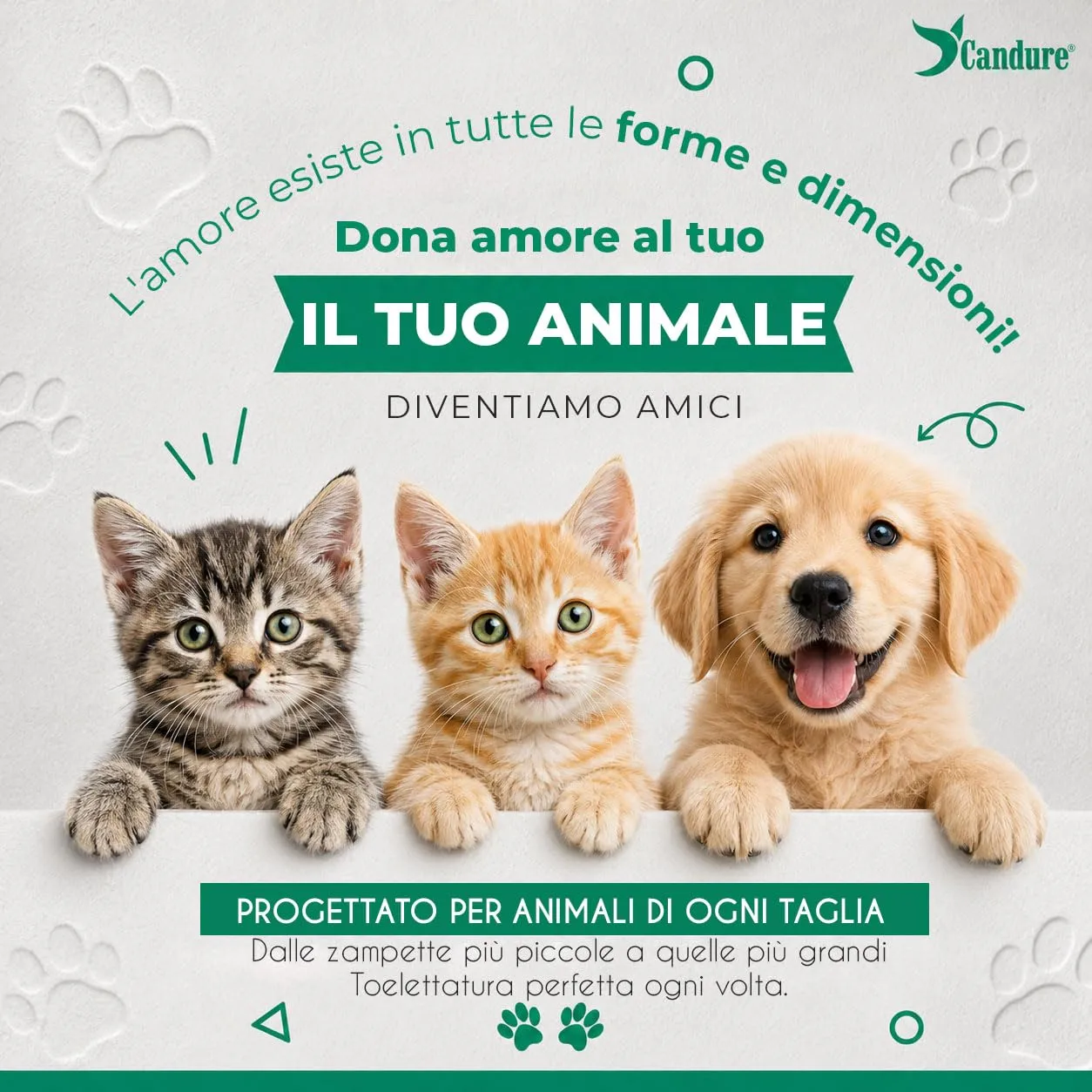 Candure Tagliaunghie per Cane e Gatto in Acciaio Inossidabile con Guardia di Protezione, Bianco e Verde, S Piccolo - immagine 7