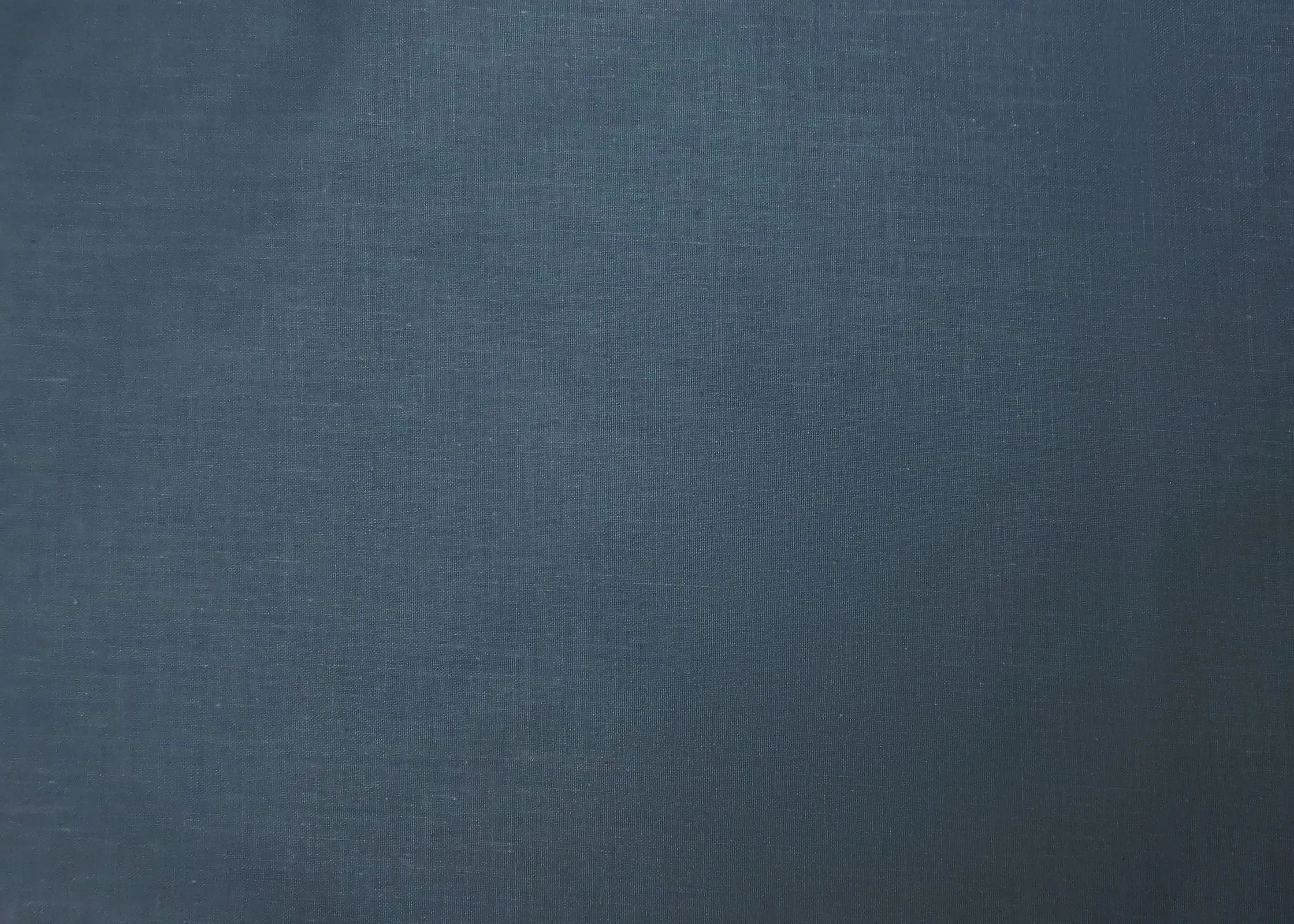 FARFALLAROSSA Coppia di Federe in Cotone 40x70 cm, Chiusura a Busta, Blu Navy - immagine 7