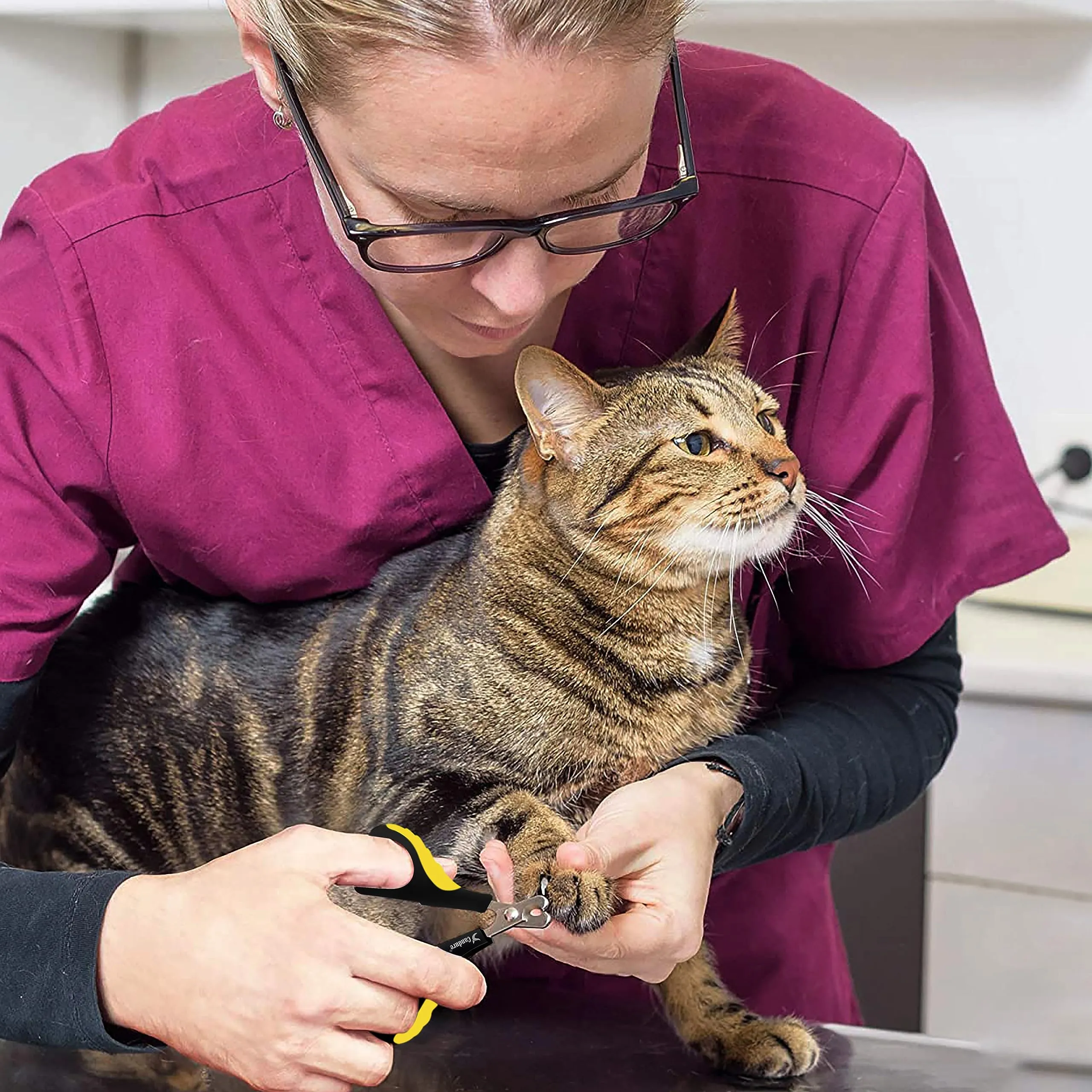 Candure Tagliaunghie Professionale in Acciaio Inossidabile per Gatti, Conigli, Uccelli e Piccoli Animali (Giallo) - immagine 7
