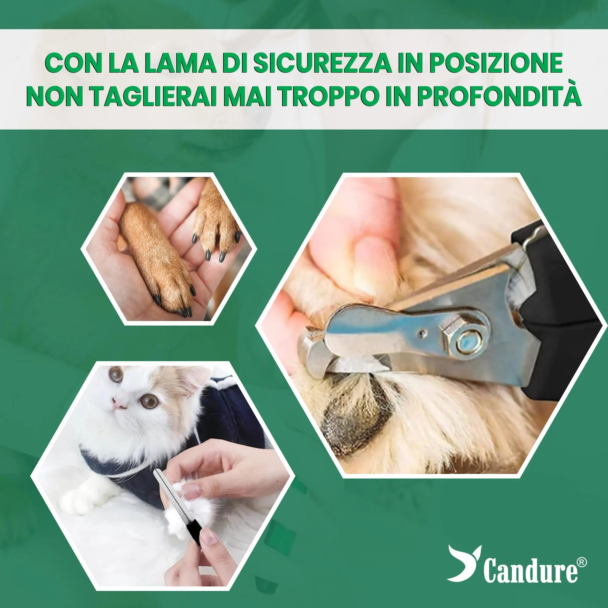 Candure Tagliaunghie per Cane e Gatto con Guardia di Protezione in Acciaio Inossidabile, Verde, Medio a Piccolo - immagine 3