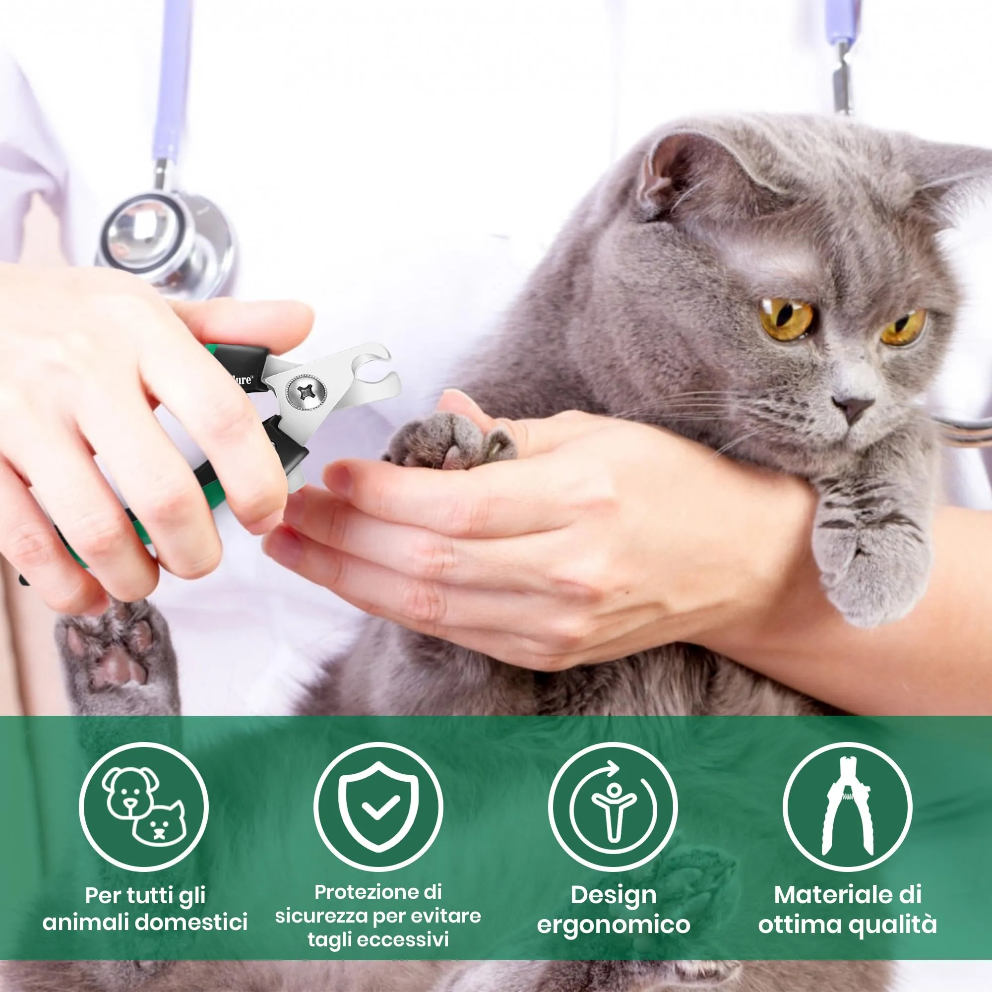 Candure Tagliaunghie per Cane e Gatto con Guardia di Protezione in Acciaio Inossidabile, Verde, Medio a Piccolo - immagine 5