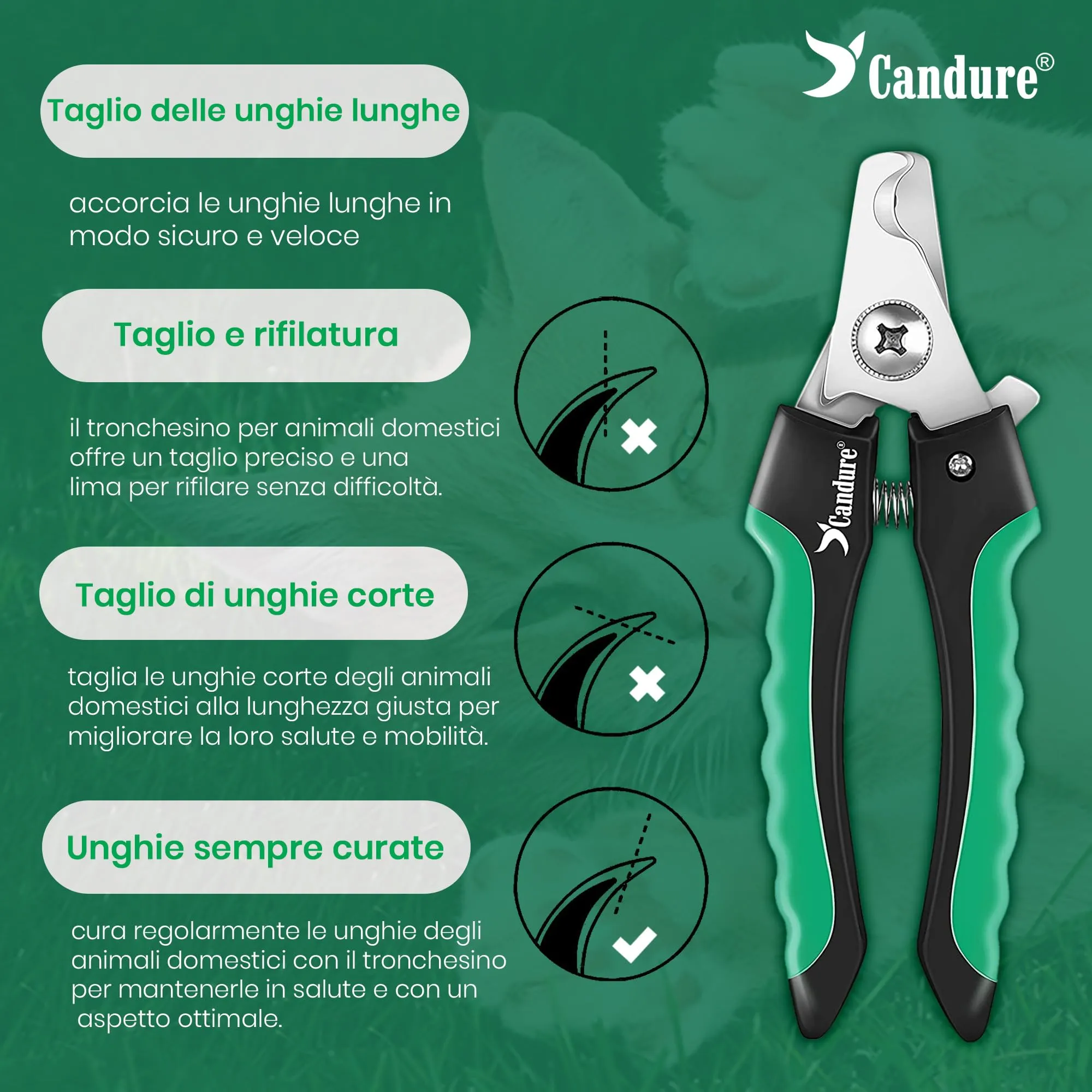 Candure Tagliaunghie per Cane e Gatto con Guardia di Protezione in Acciaio Inossidabile, Verde, Medio a Piccolo - immagine 6