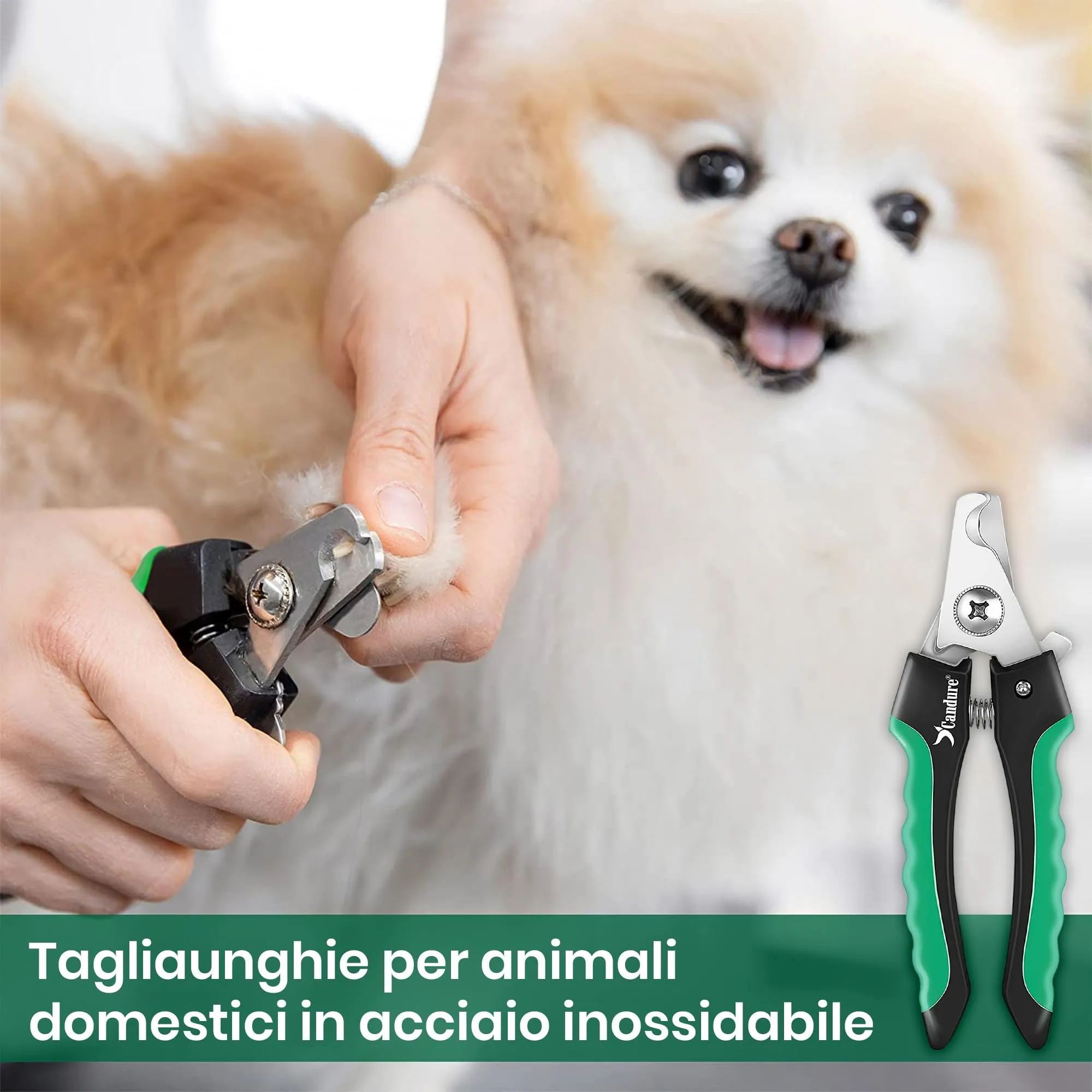 Candure Tagliaunghie per Cane e Gatto con Guardia di Protezione in Acciaio Inossidabile, Verde, Medio a Piccolo - immagine 8