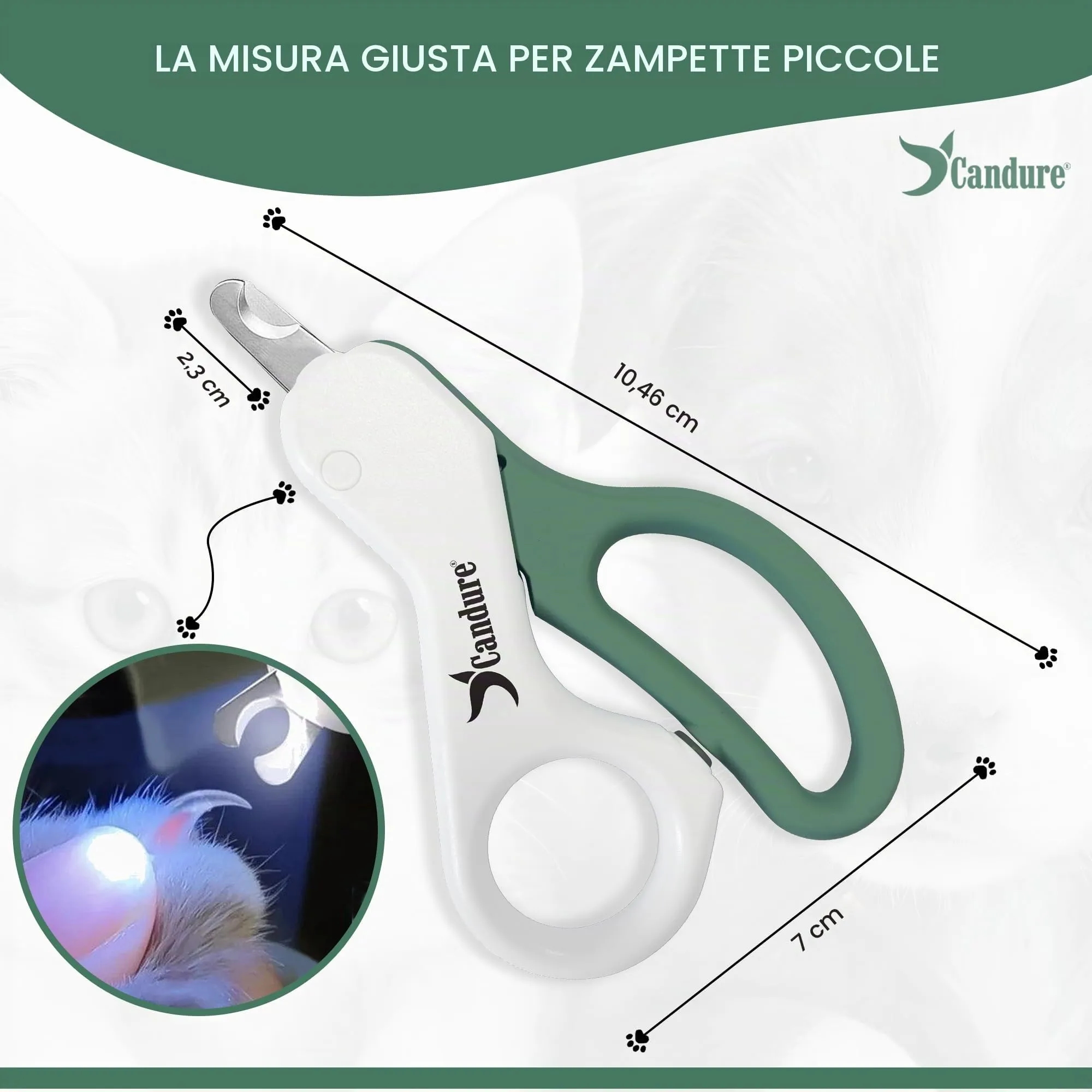 Candure Tagliaunghie per Animali con Luce LED in Acciaio Inox per Gatti, Conigli, Porcellini d'India e Uccelli - immagine 2