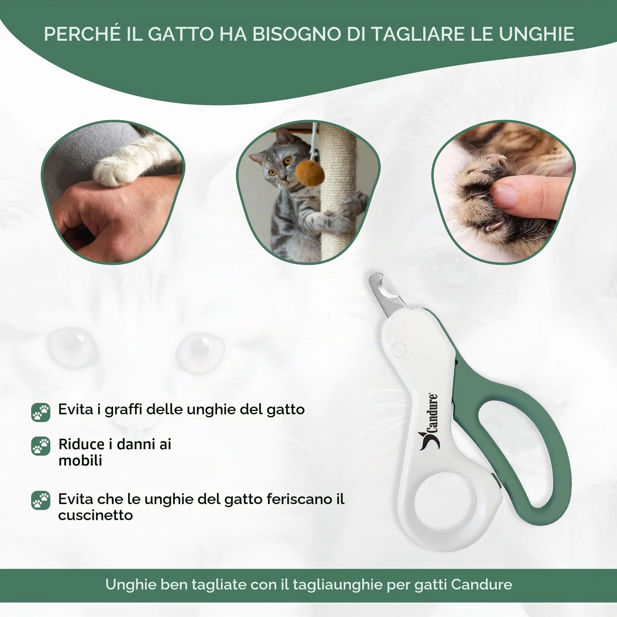 Candure Tagliaunghie per Animali con Luce LED in Acciaio Inox per Gatti, Conigli, Porcellini d'India e Uccelli - immagine 6
