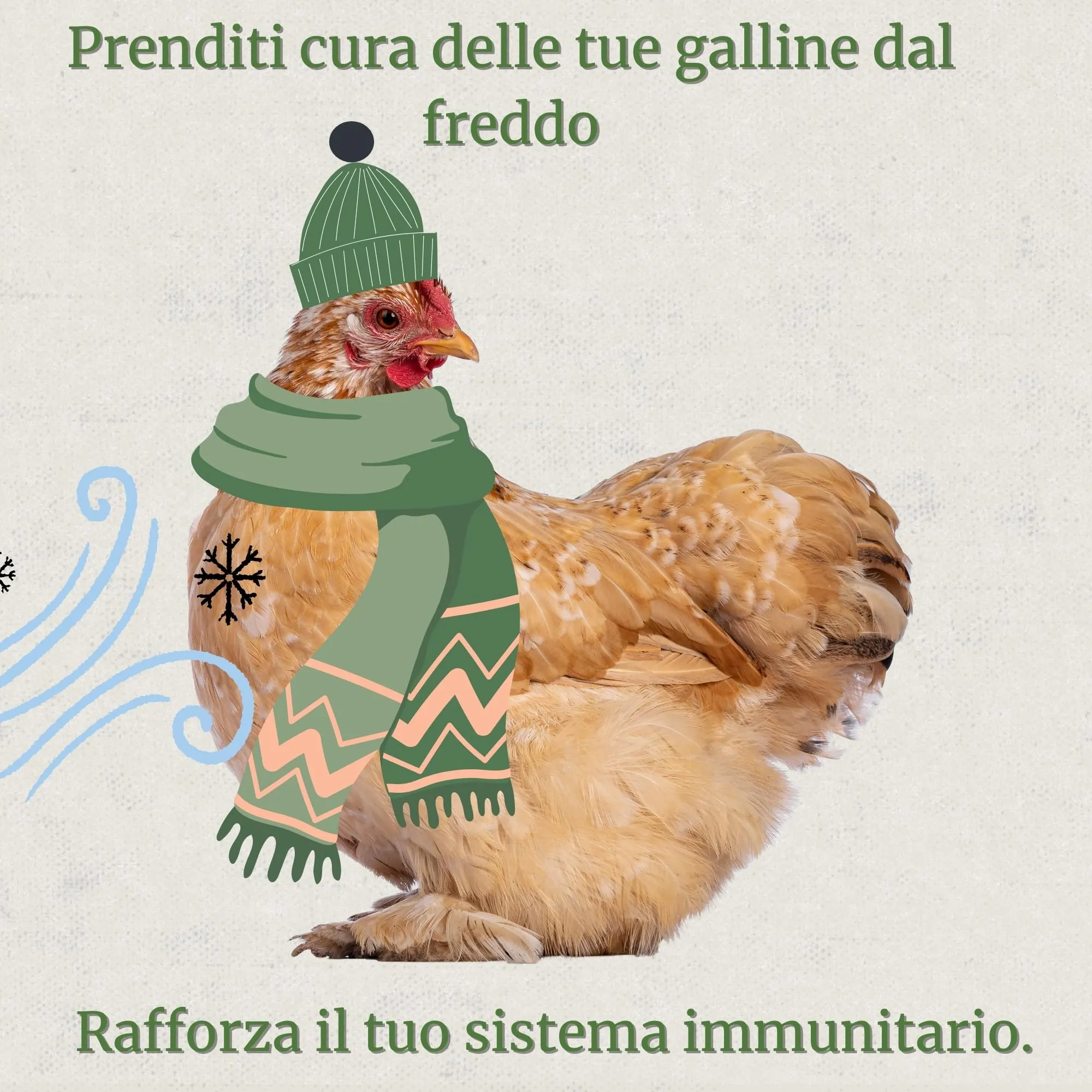 DADECARE Broncare Respiratorio con ADEC per Polli, Uccelli da Cortile ed Esotici, 250 ml - immagine 2