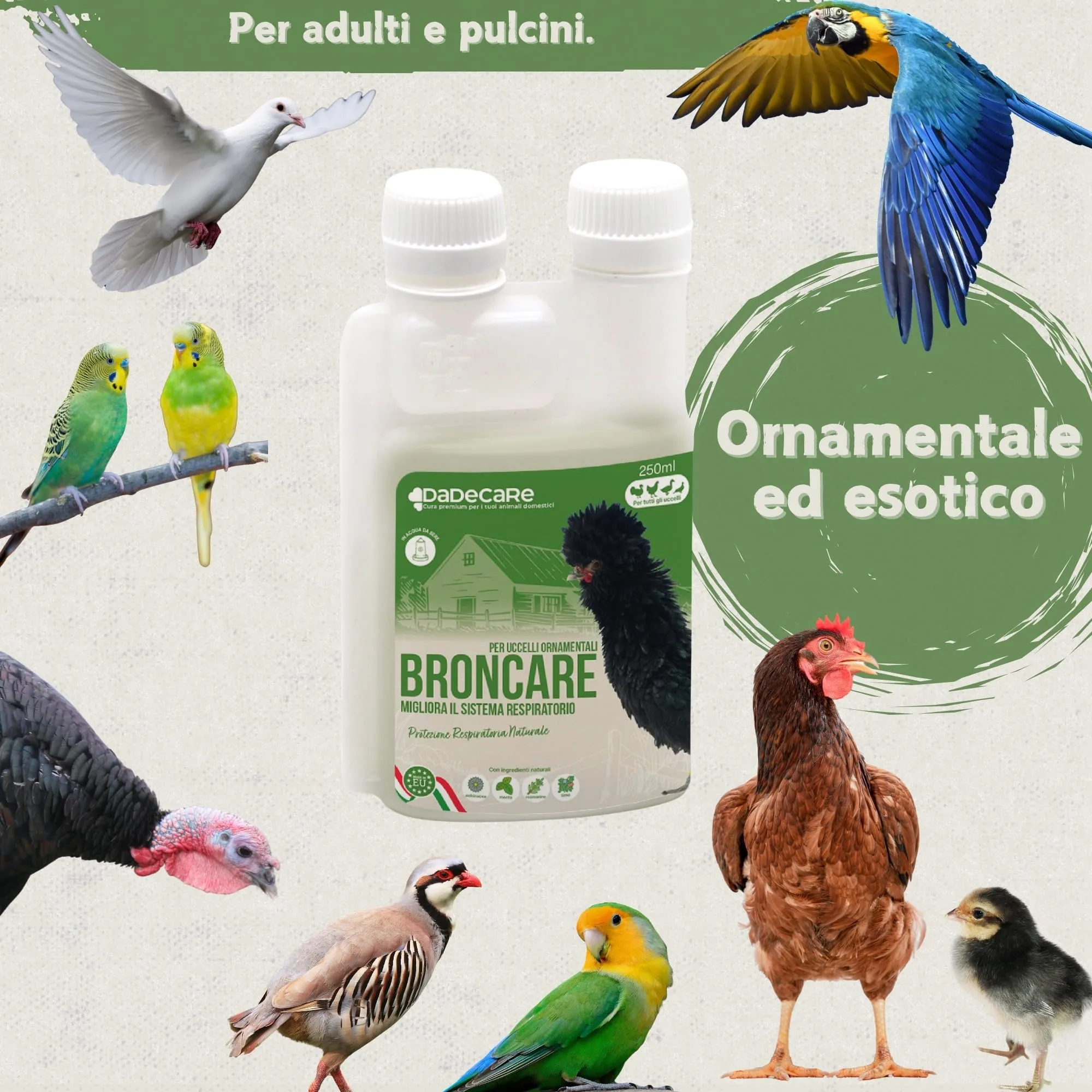 DADECARE Broncare Respiratorio con ADEC per Polli, Uccelli da Cortile ed Esotici, 250 ml - immagine 6