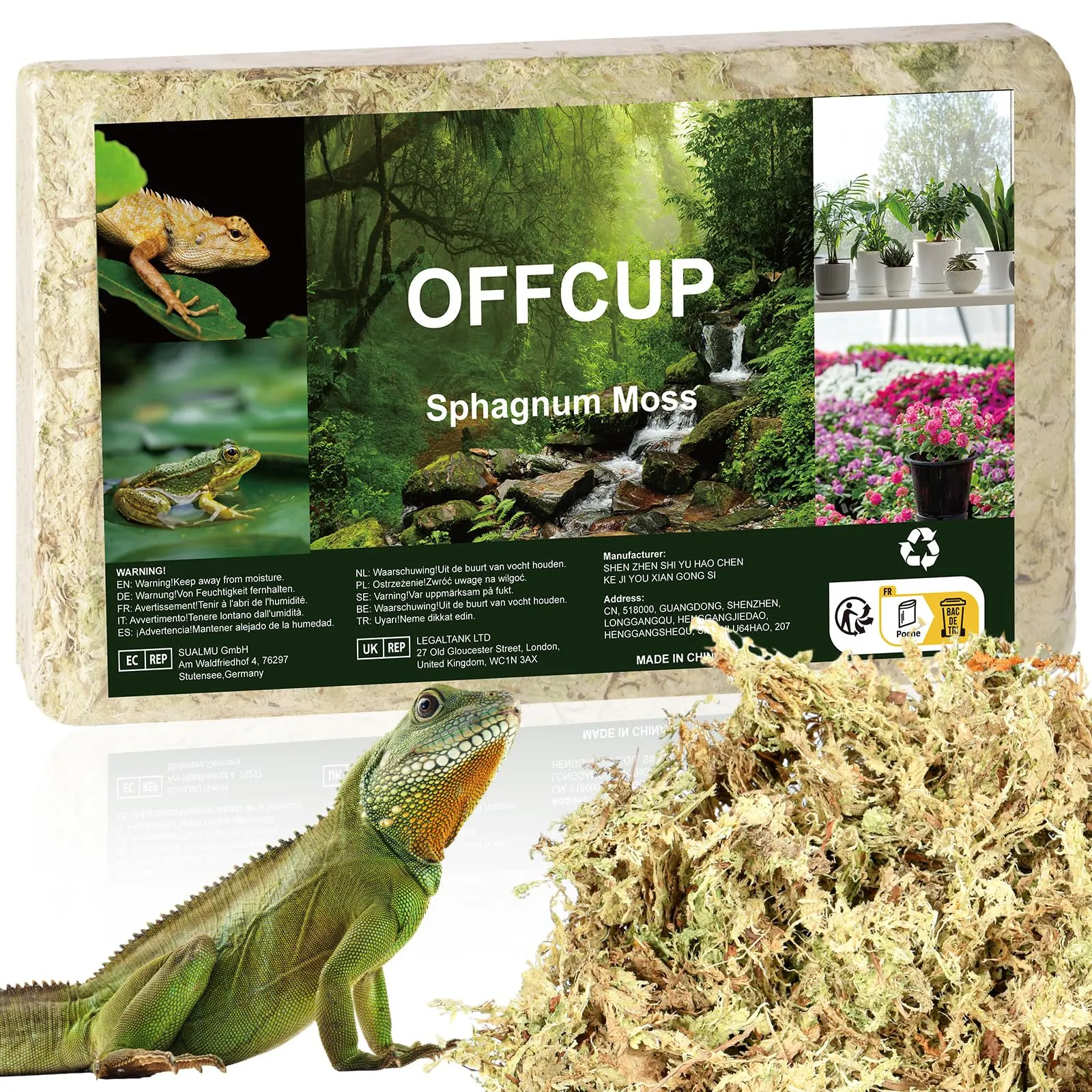 OFFCUP Sfagno per Piante, Muschio Sphagnum per Terrario e Rettili, 150g - immagine 1