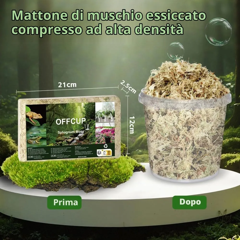 OFFCUP Sfagno per Piante, Muschio Sphagnum per Terrario e Rettili, 150g - immagine 2