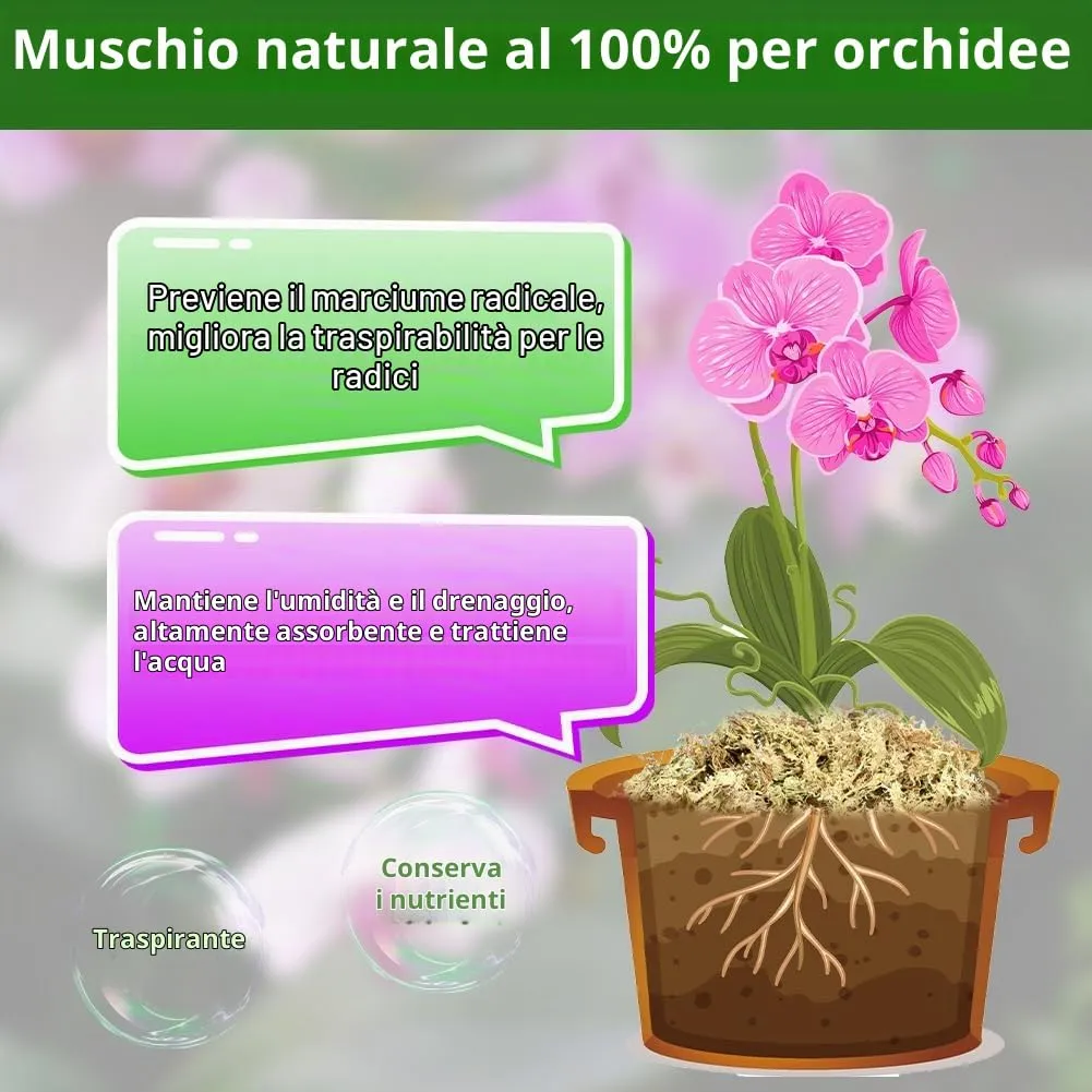 OFFCUP Sfagno per Piante, Muschio Sphagnum per Terrario e Rettili, 150g - immagine 3