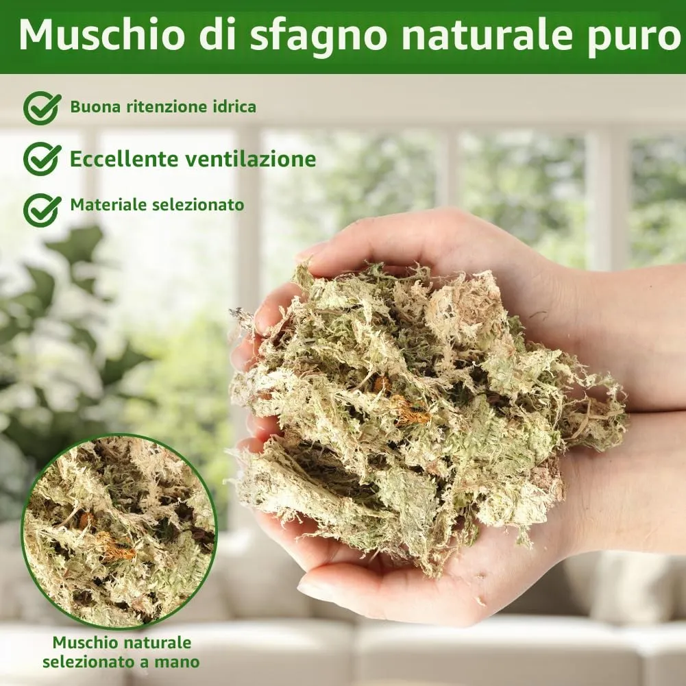OFFCUP Sfagno per Piante, Muschio Sphagnum per Terrario e Rettili, 150g - immagine 5