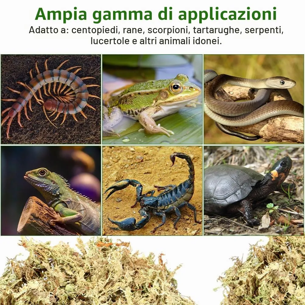 OFFCUP Sfagno per Piante, Muschio Sphagnum per Terrario e Rettili, 150g - immagine 7