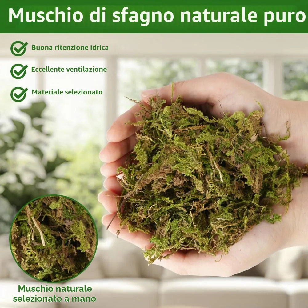 OFFCUP Muschio di Sfagno per Piante e Rettili, 300g - immagine 5